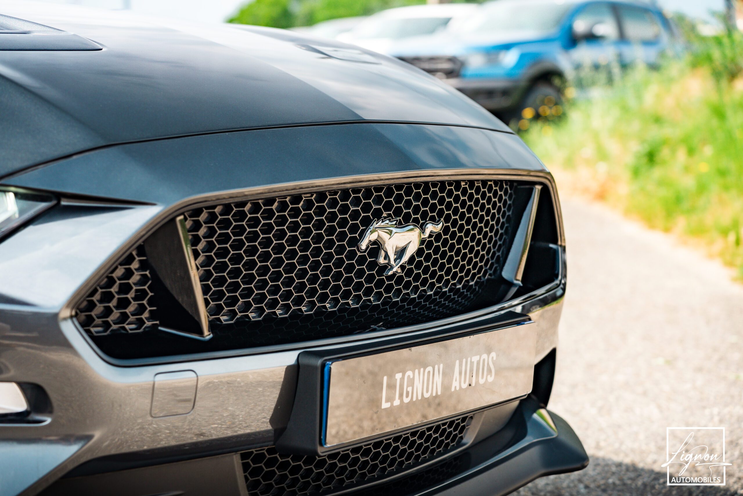 Photo Ford Mustang Cabriolet Gt 5.0l V8 450 Bva10 Premium