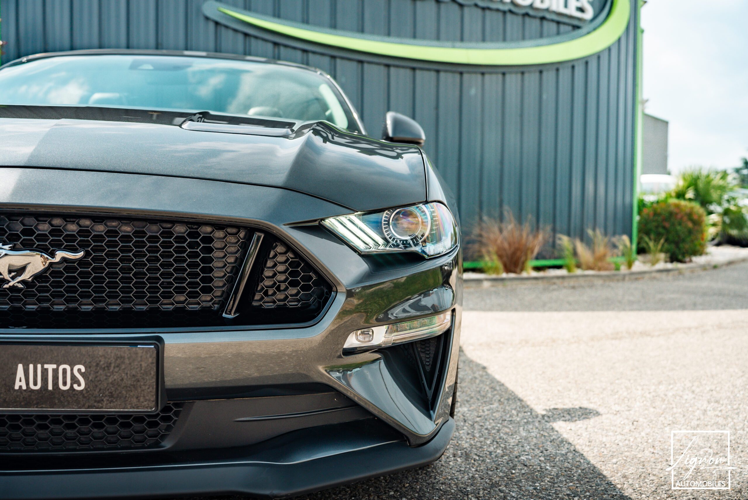 Photo Ford Mustang Cabriolet Gt 5.0l V8 450 Bva10 Premium