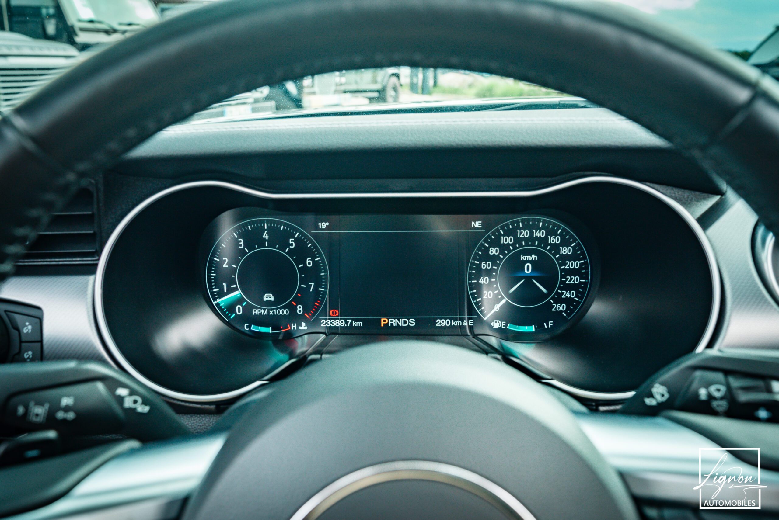 Photo Ford Mustang Cabriolet Gt 5.0l V8 450 Bva10 Premium