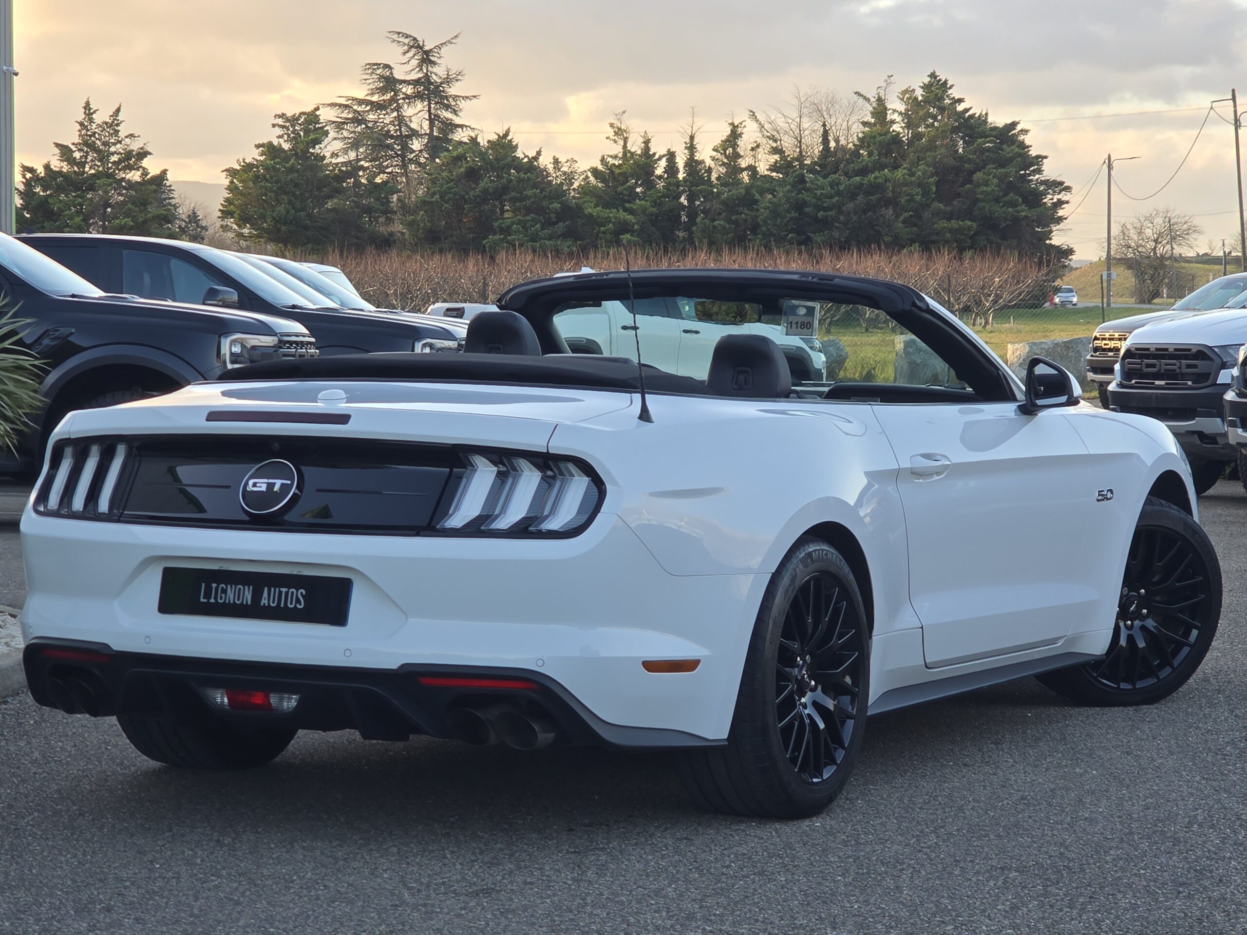 Photo Ford Mustang Cabriolet Gt 5.0l V8 450 BVM6 Premium