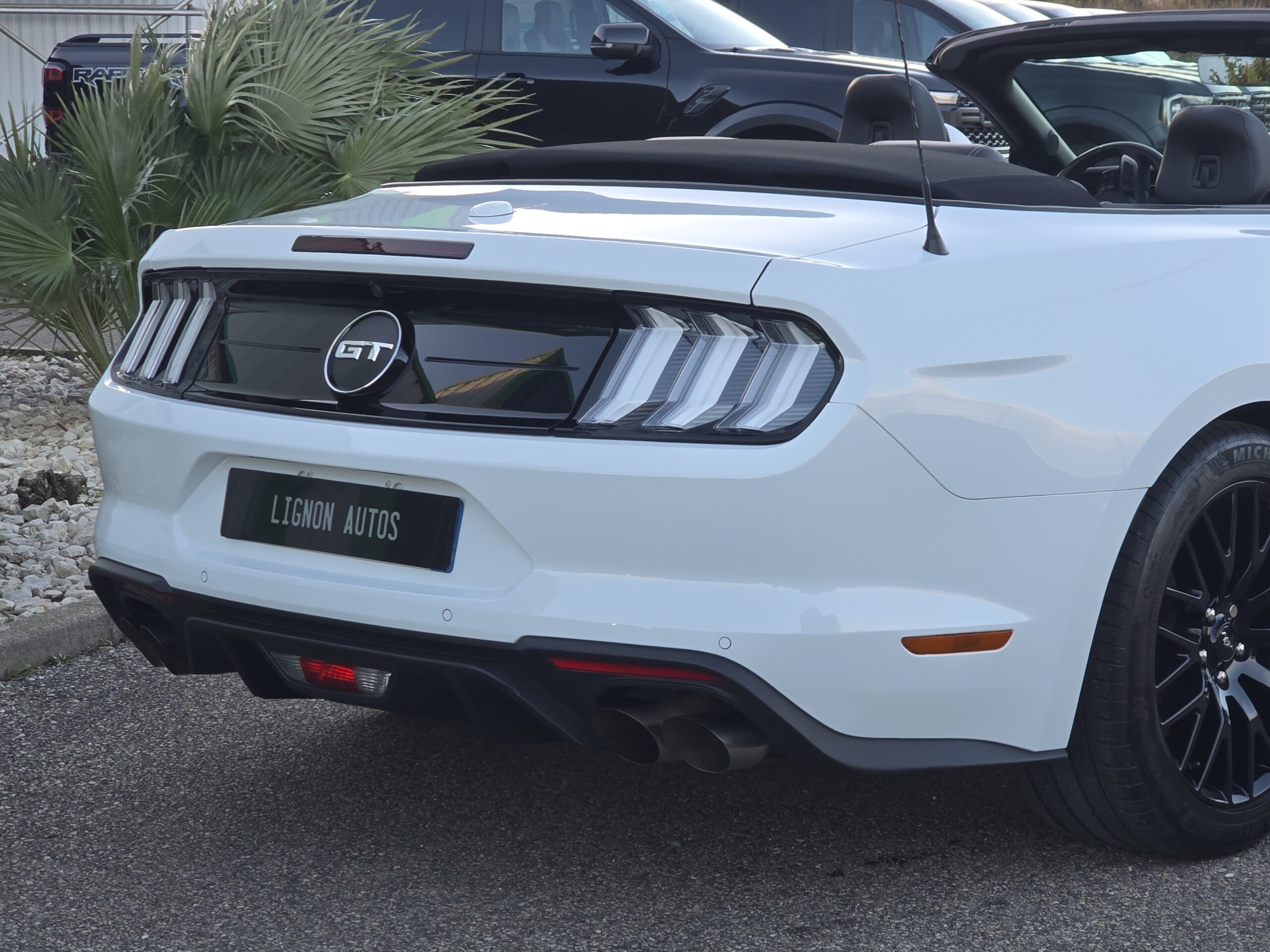 Photo Ford Mustang Cabriolet Gt 5.0l V8 450 BVM6 Premium
