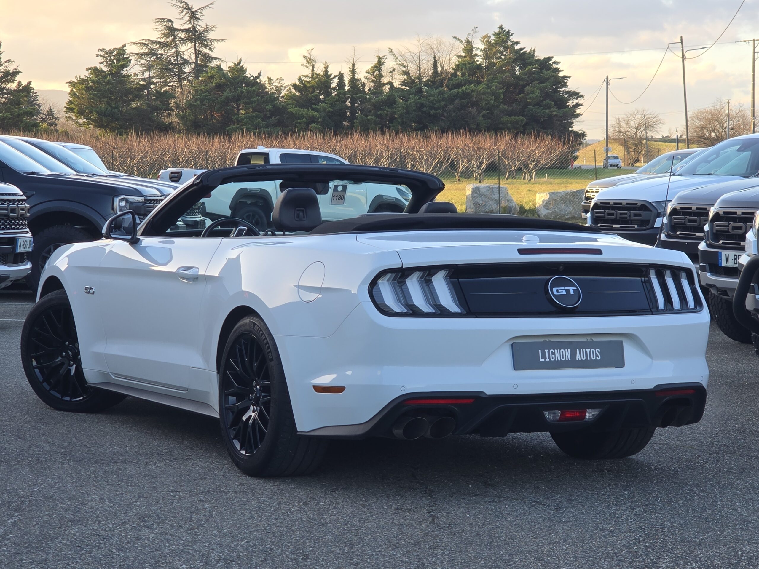 Photo Ford Mustang Cabriolet Gt 5.0l V8 450 BVM6 Premium