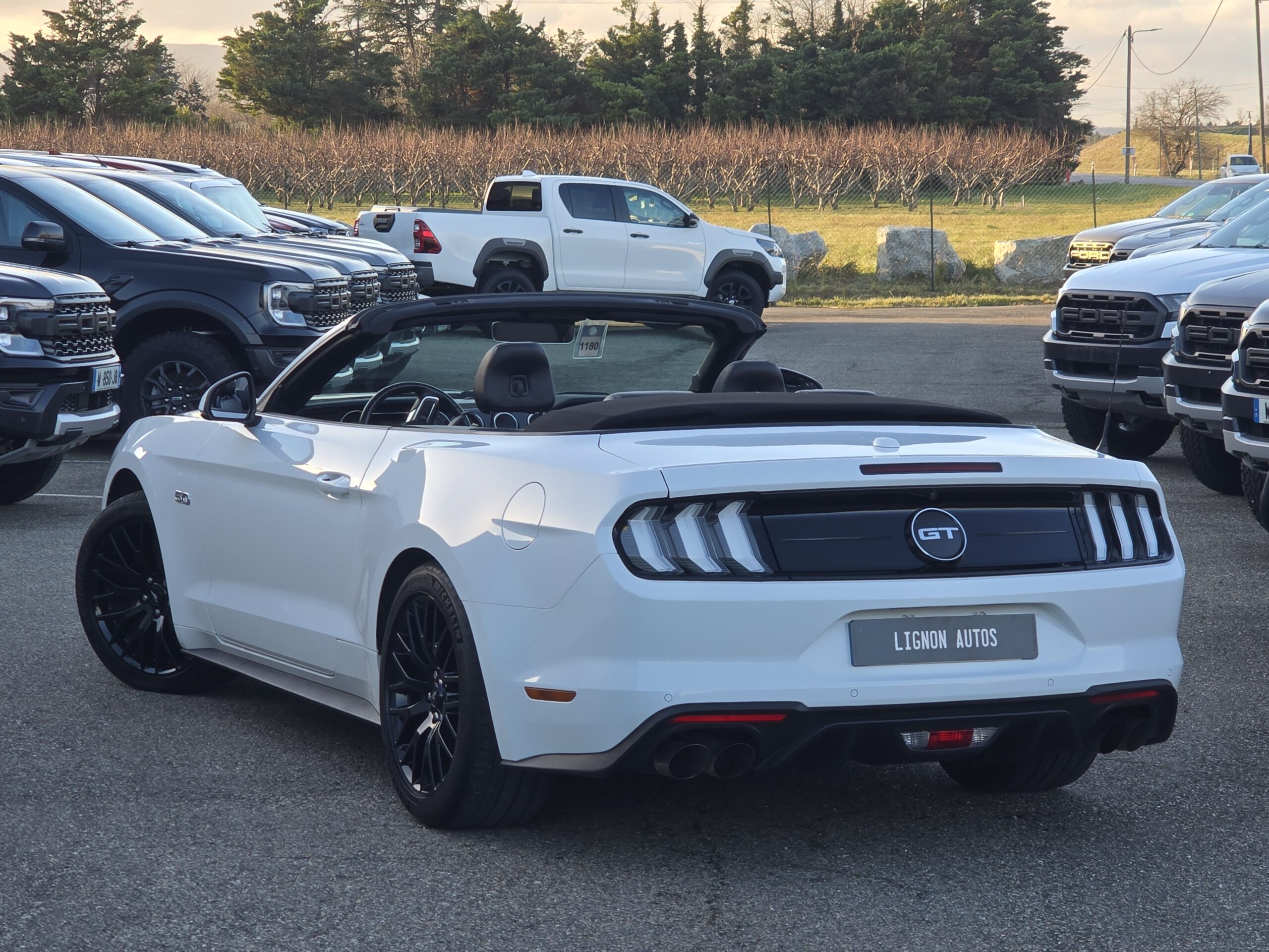 Photo Ford Mustang Cabriolet Gt 5.0l V8 450 BVM6 Premium