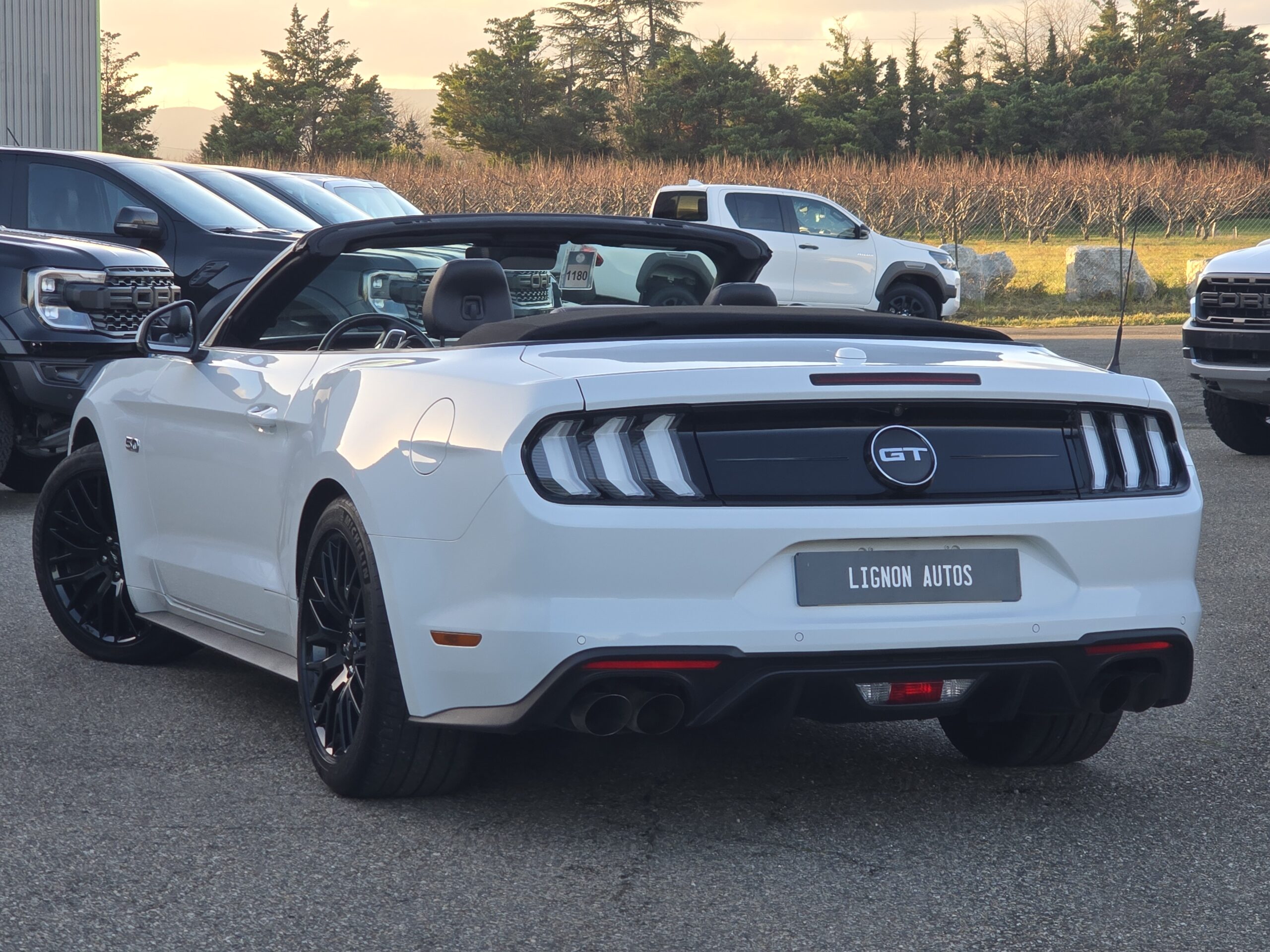 Photo Ford Mustang Cabriolet Gt 5.0l V8 450 BVM6 Premium