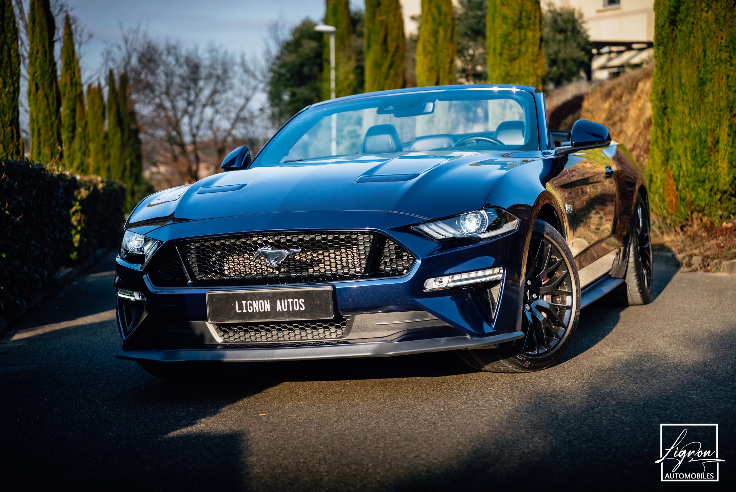 Ford Mustang GT 5.0 v8 Cabriolet 450 ch BVA10 - Suspension Magneride - 1er main