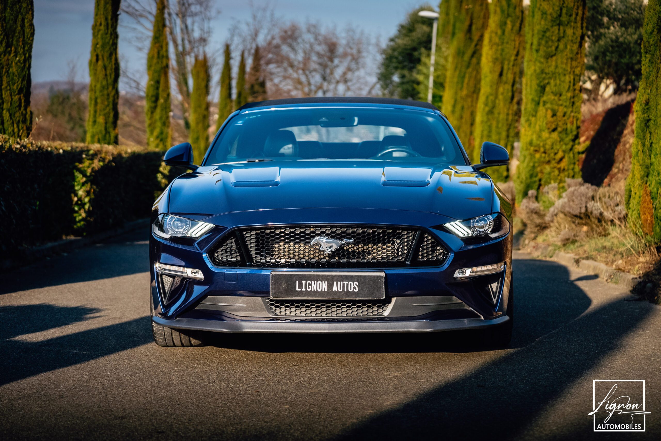 Photo Ford Mustang GT 5.0 v8 Cabriolet 450 ch BVA10 - Suspension Magneride - 1er main