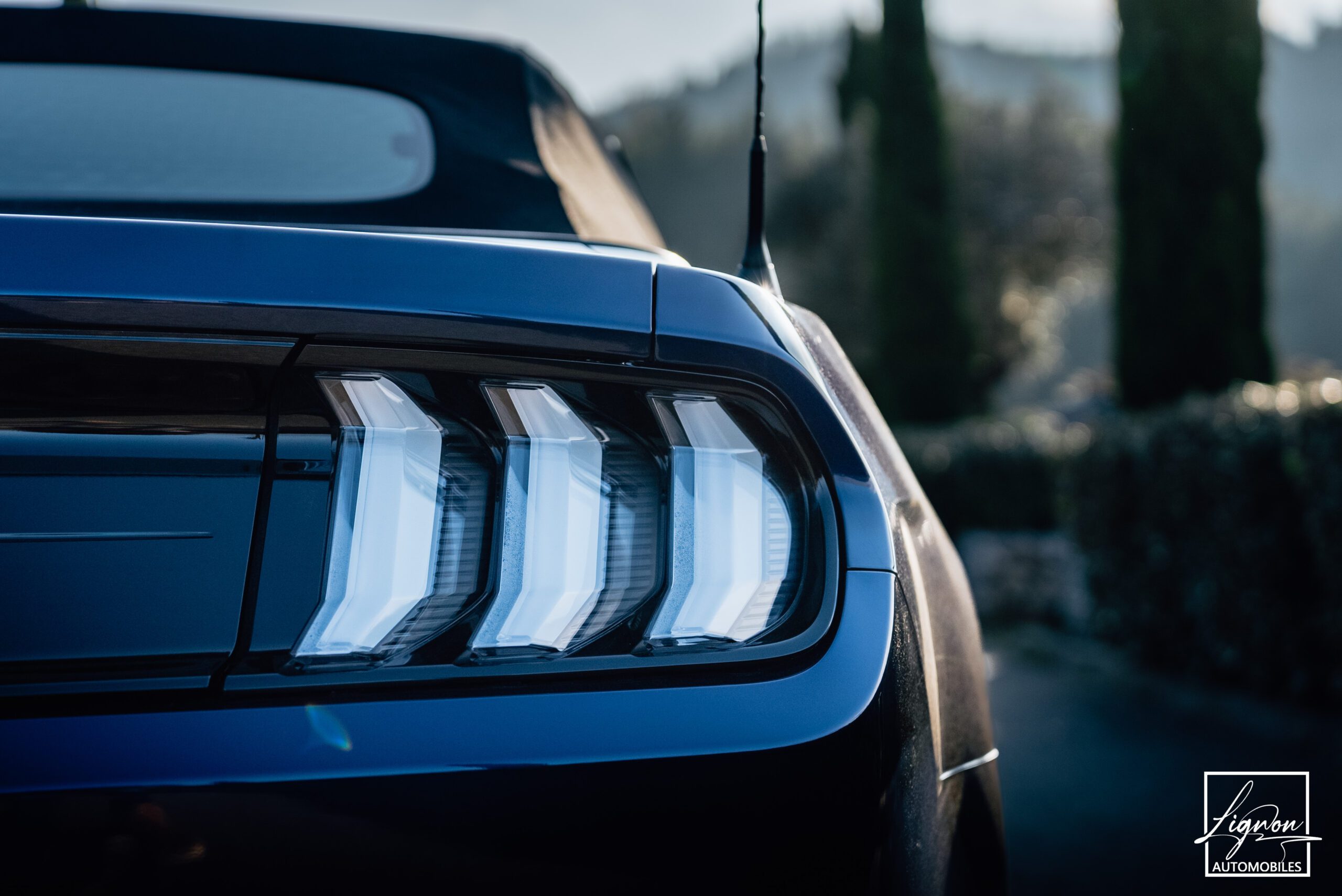 Photo Ford Mustang GT 5.0 v8 Cabriolet 450 ch BVA10 - Suspension Magneride - 1er main
