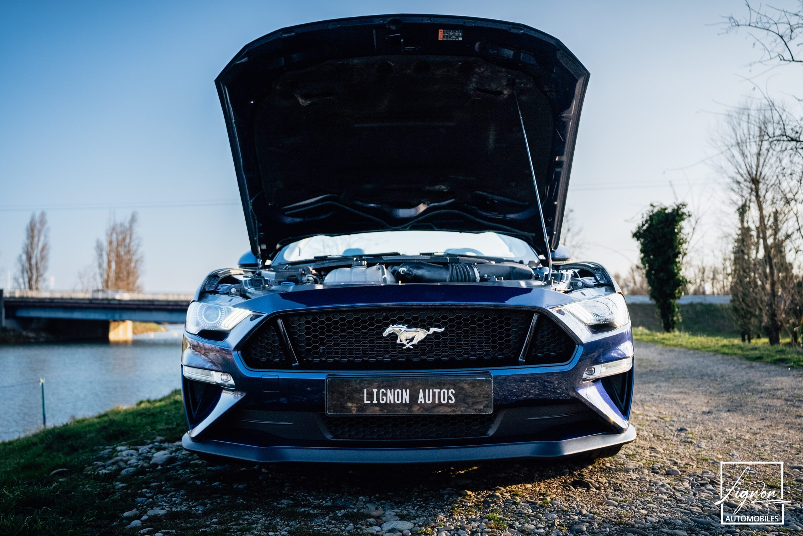Photo Ford Mustang GT 5.0 v8 Cabriolet 450 ch BVA10 - Suspension Magneride - 1er main
