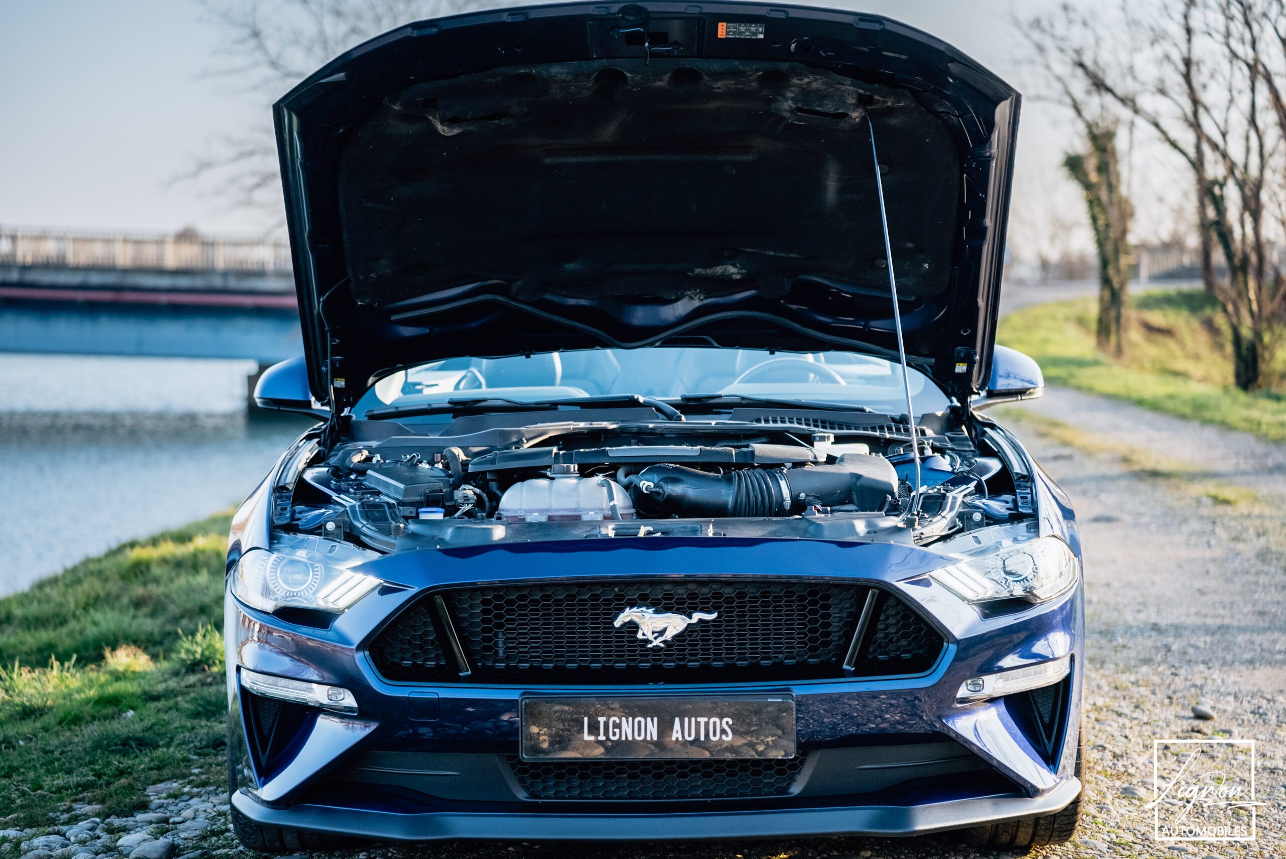 Photo Ford Mustang GT 5.0 v8 Cabriolet 450 ch BVA10 - Suspension Magneride - 1er main