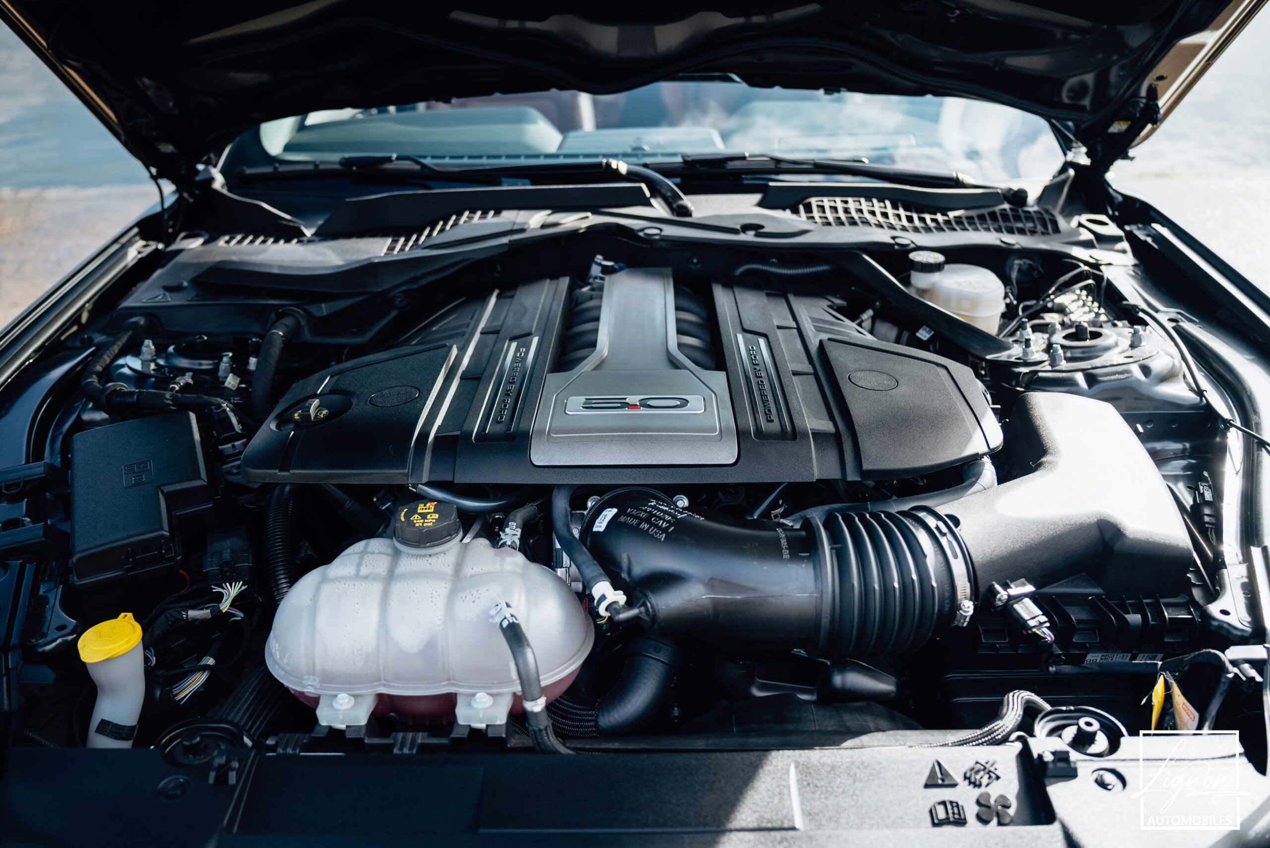 Photo Ford Mustang GT 5.0 v8 Cabriolet 450 ch BVM6 - Suspension Magneride