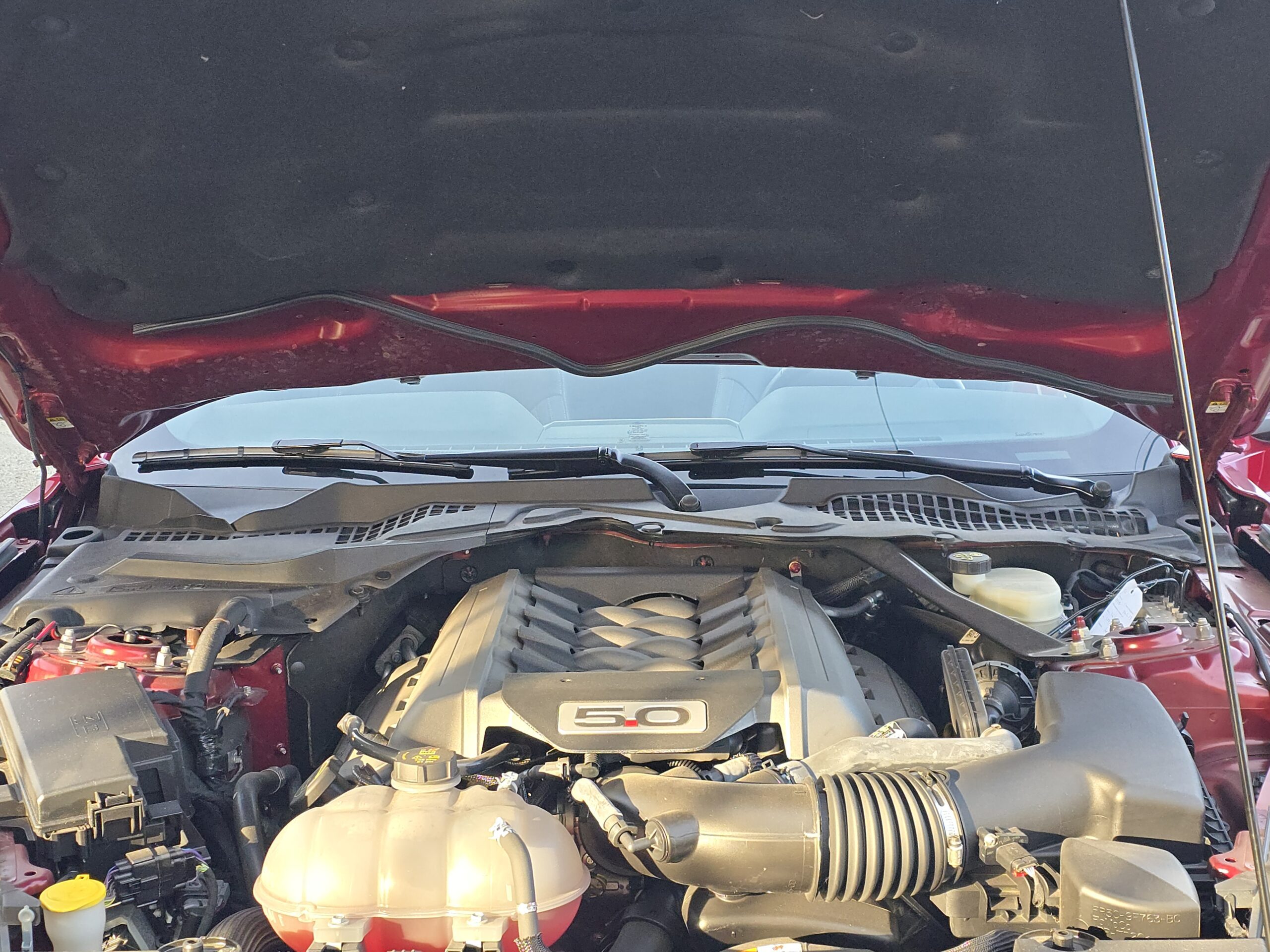 Photo Ford Mustang 5.0 v8 GT Cabriolet 421 ch Boite Automatique - 1er main - 9 800km !