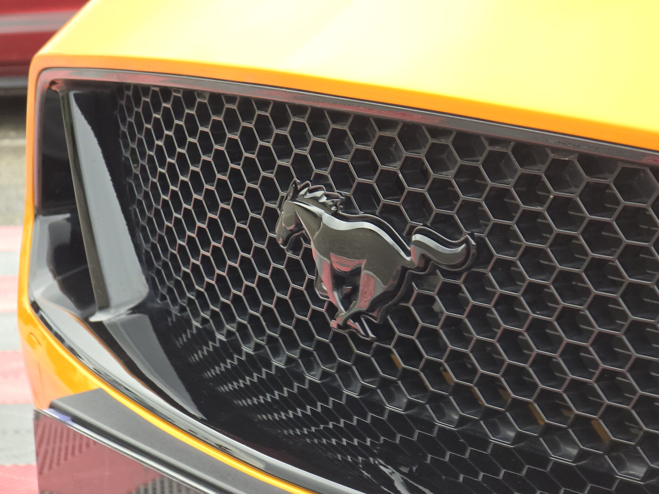 Ford Mustang GT 5.0 v8 Cabriolet 450 ch BVA10 - Suspension Magneride - 1er main