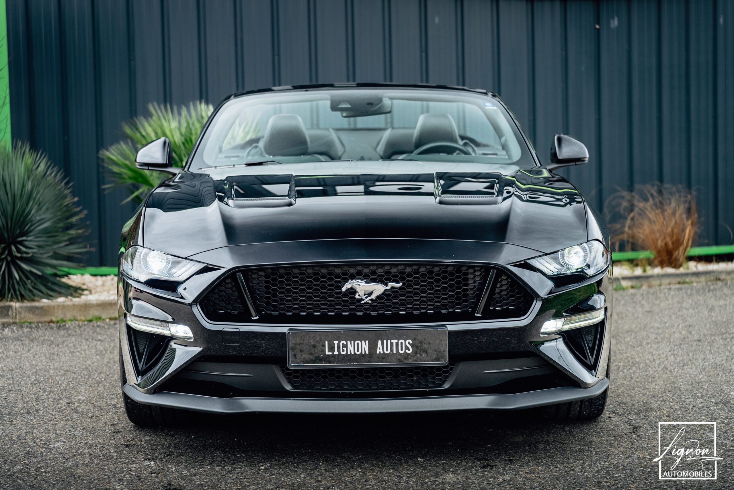 Photo Ford Mustang Cabriolet 5.0 v8 GT 450 CH BVM6 - 1er main