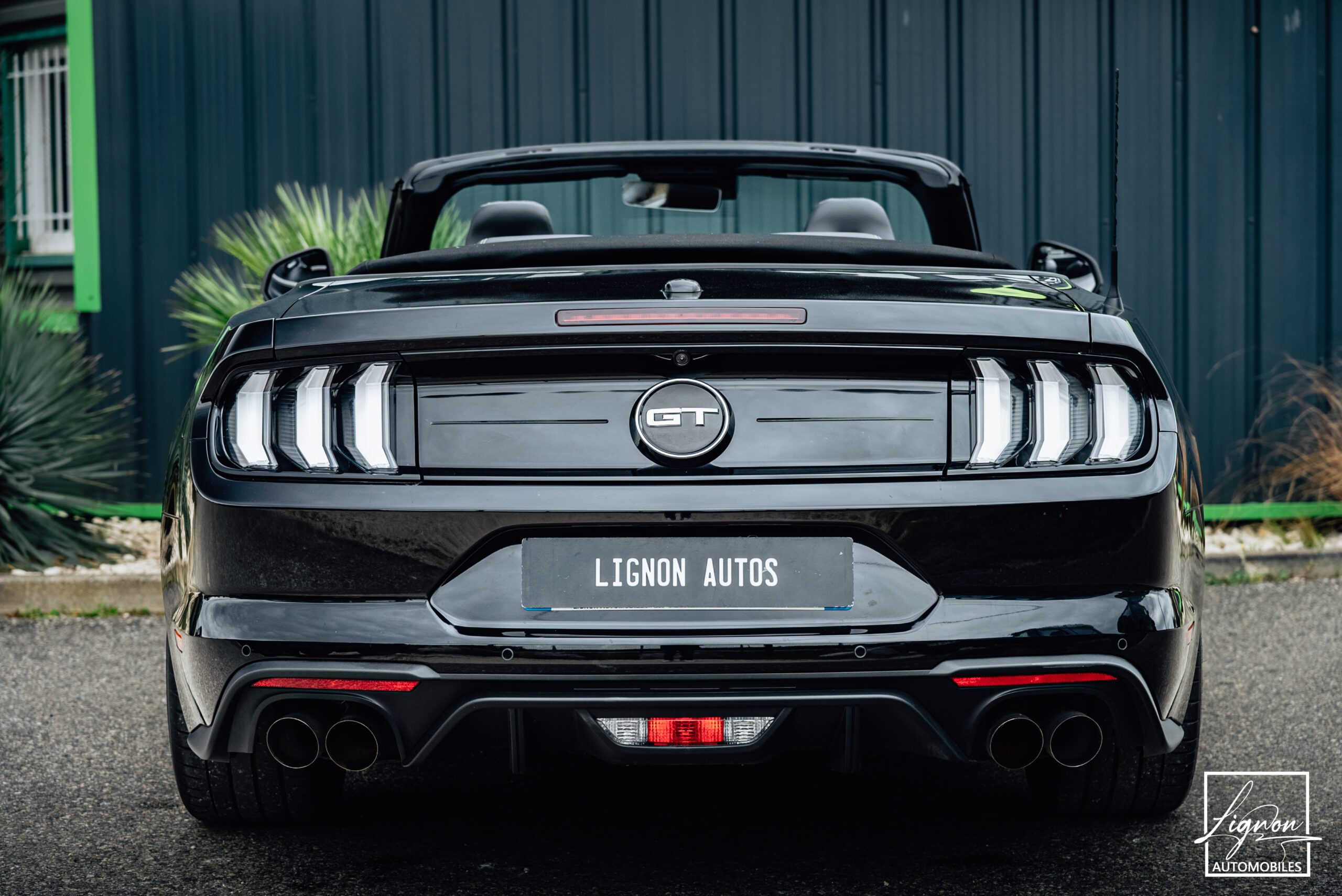 Photo Ford Mustang Cabriolet 5.0 v8 GT 450 CH BVM6 - 1er main