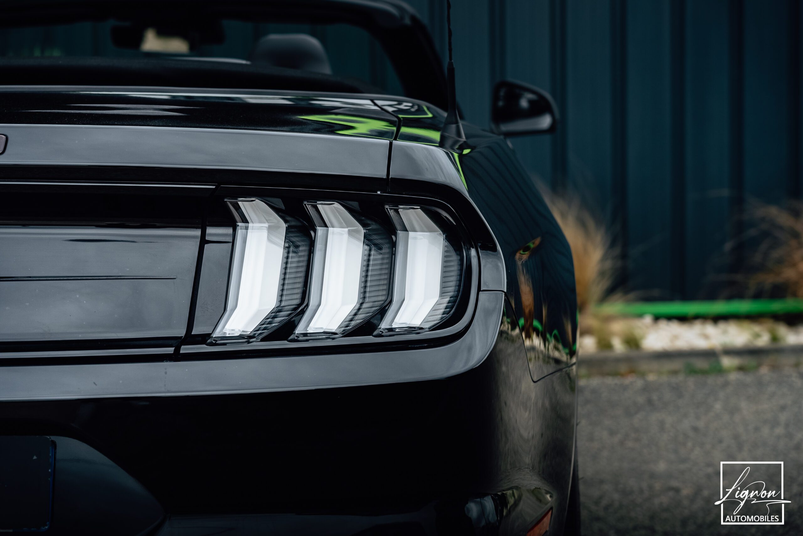 Photo Ford Mustang Cabriolet 5.0 v8 GT 450 CH BVM6 - 1er main