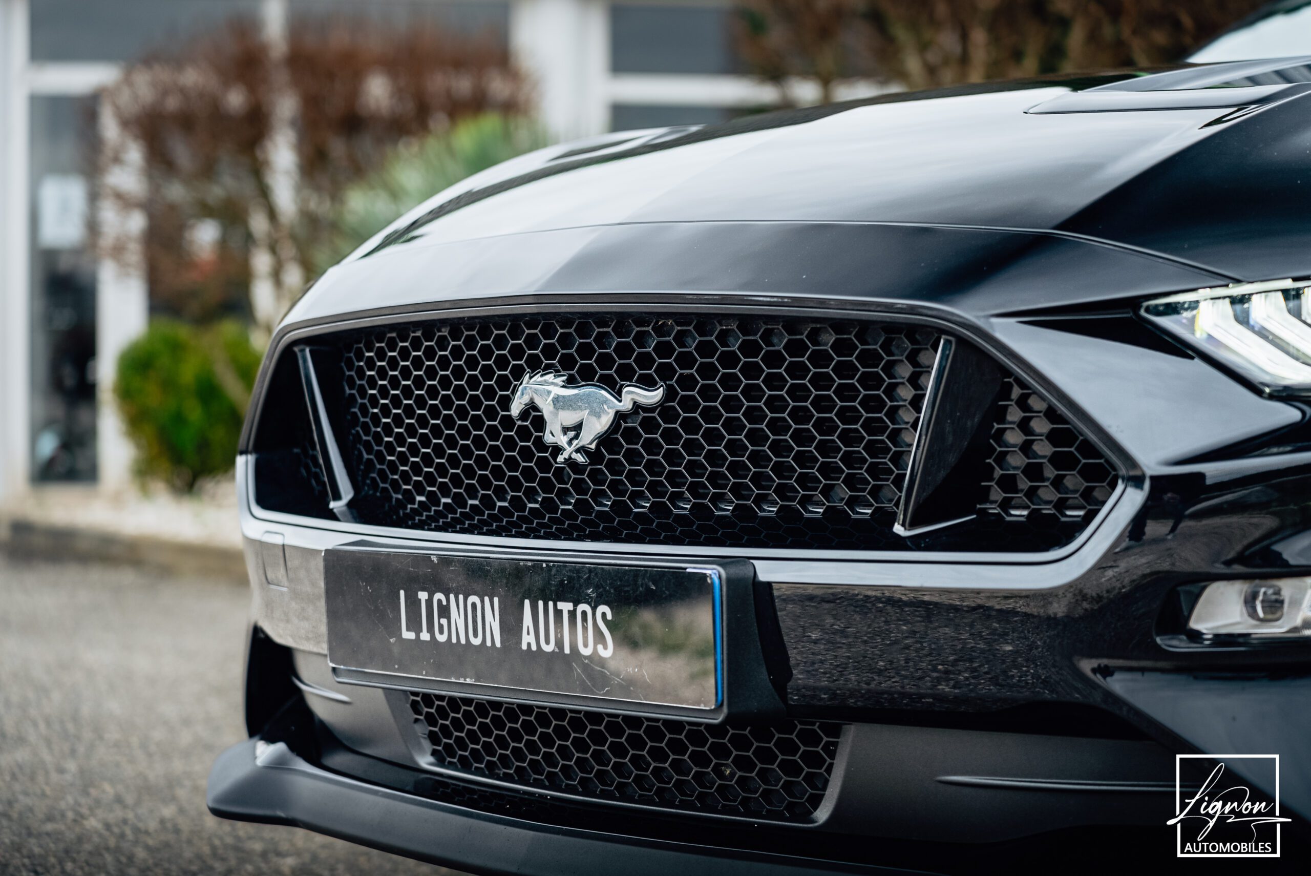 Photo Ford Mustang Cabriolet 5.0 v8 GT 450 CH BVM6 - 1er main