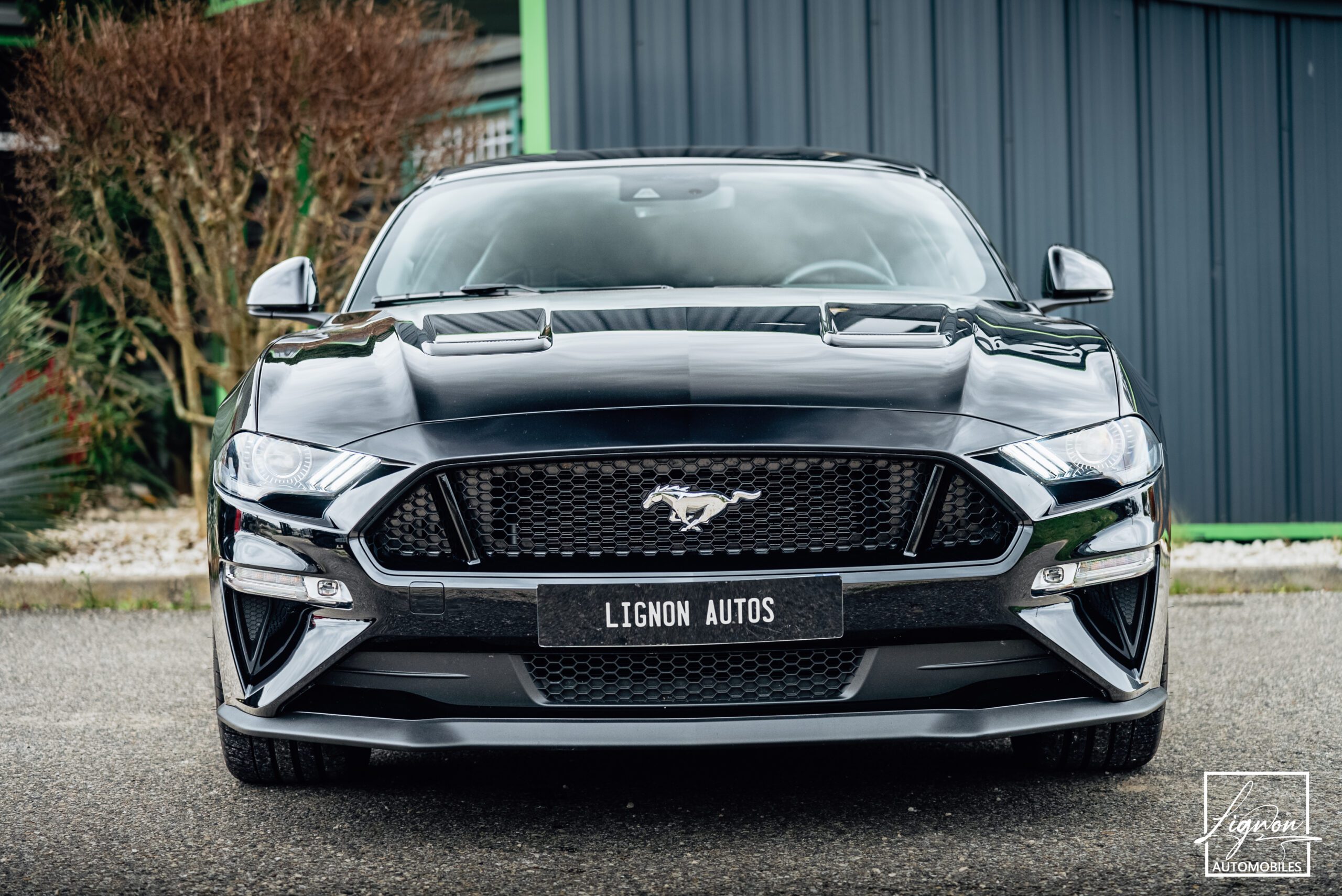 Photo Ford Mustang GT 5.0 v8 Fastback 450 ch BVM6 - RECARO - 1ER MAIN - 6.800KM !