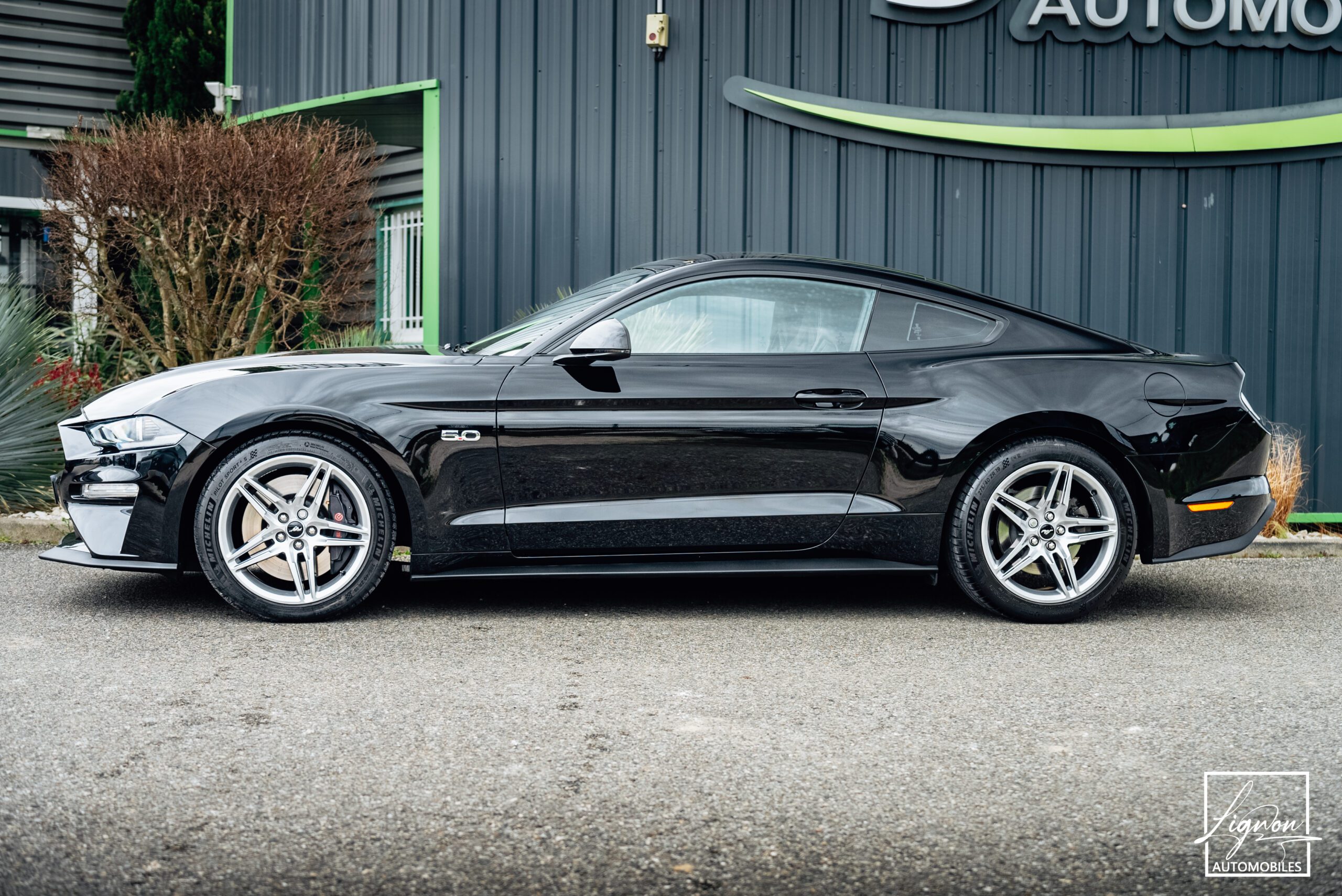 Photo Ford Mustang GT 5.0 v8 Fastback 450 ch BVM6 - RECARO - 1ER MAIN - 6.800KM !