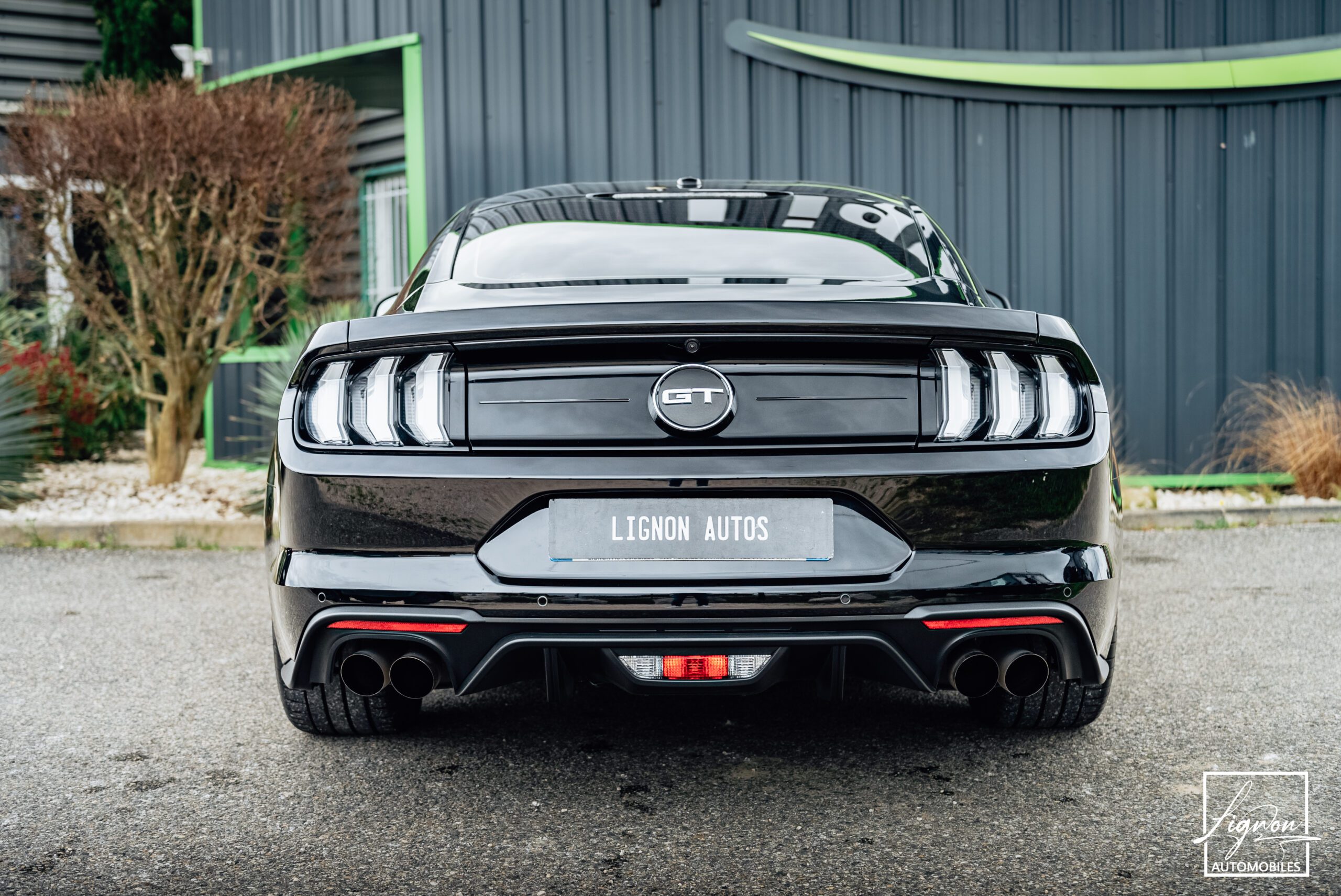 Photo Ford Mustang GT 5.0 v8 Fastback 450 ch BVM6 - RECARO - 1ER MAIN - 6.800KM !