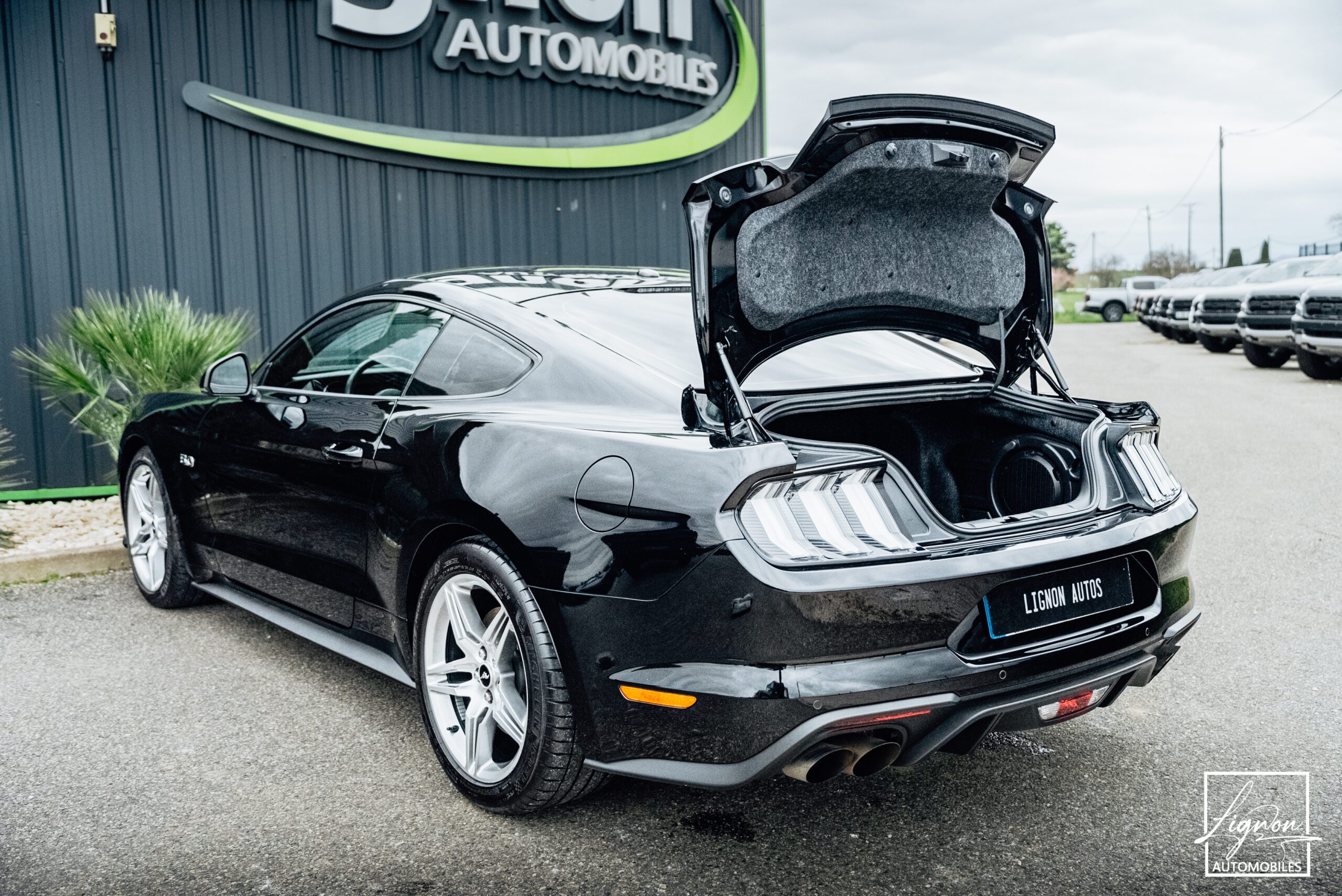 Photo Ford Mustang GT 5.0 v8 Fastback 450 ch BVM6 - RECARO - 1ER MAIN - 6.800KM !