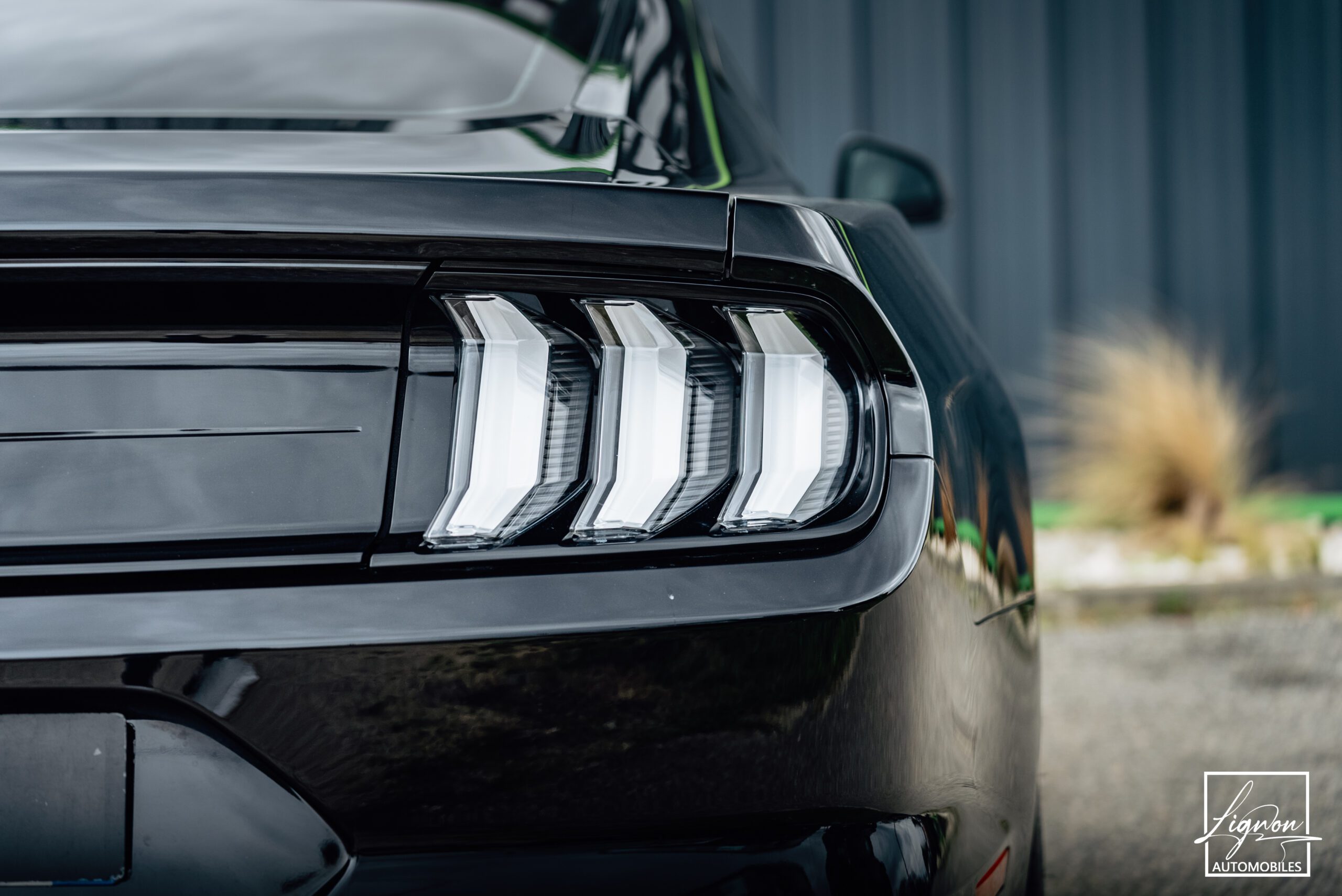 Photo Ford Mustang GT 5.0 v8 Fastback 450 ch BVM6 - RECARO - 1ER MAIN - 6.800KM !