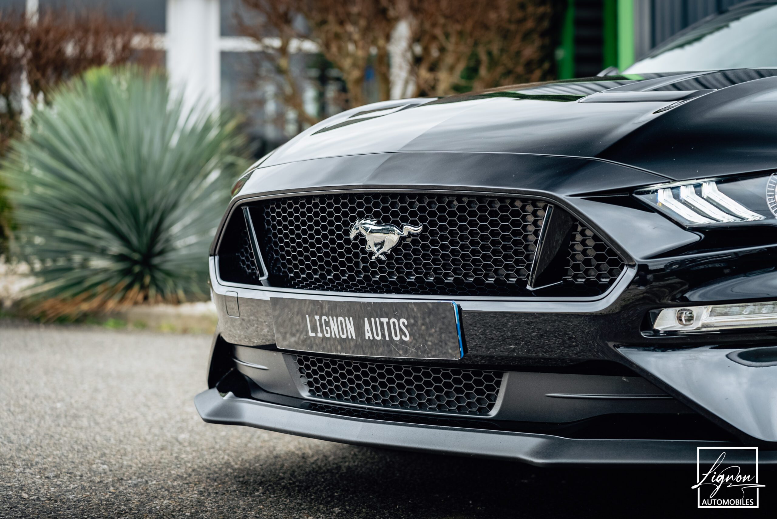 Photo Ford Mustang GT 5.0 v8 Fastback 450 ch BVM6 - RECARO - 1ER MAIN - 6.800KM !