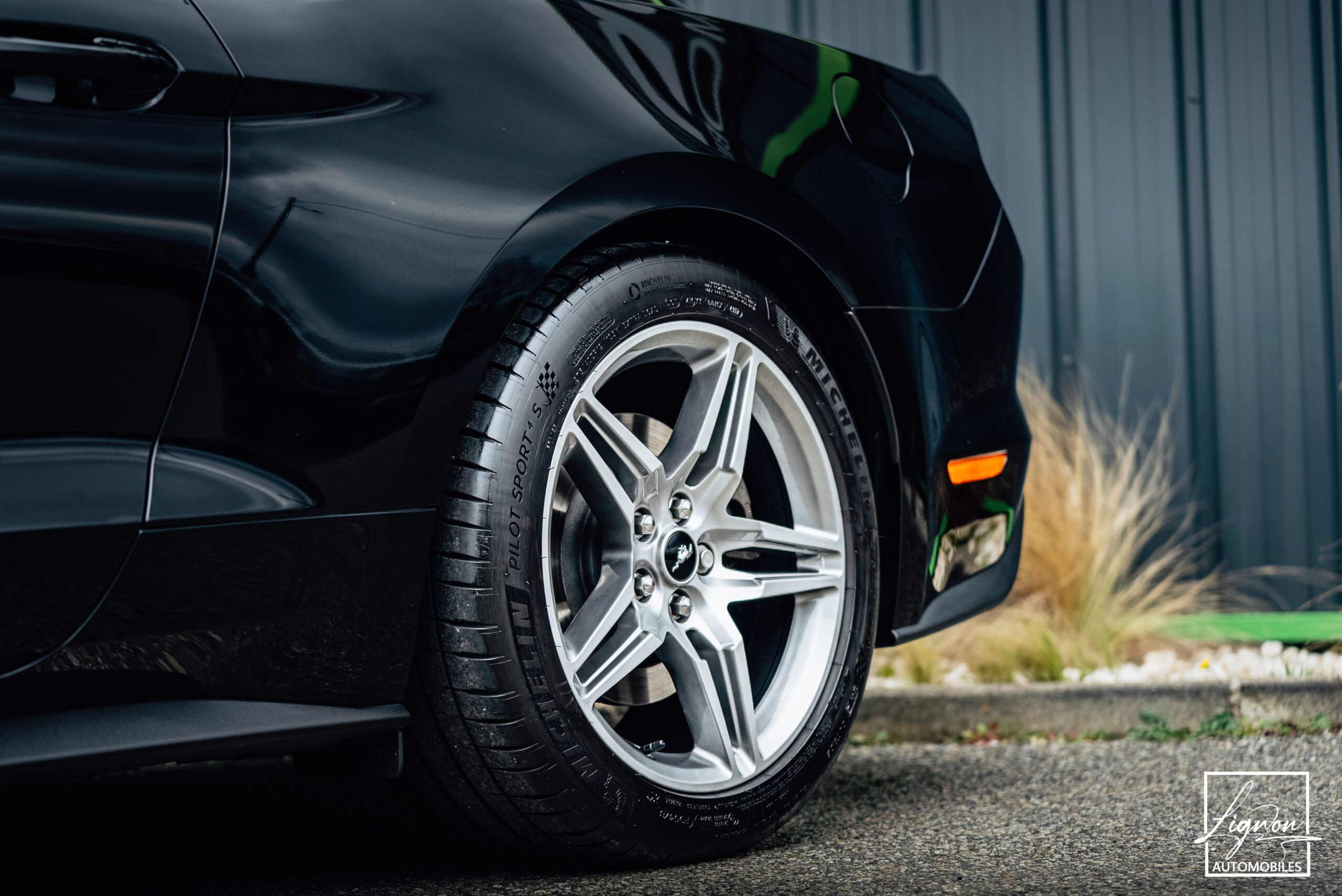 Photo Ford Mustang GT 5.0 v8 Fastback 450 ch BVM6 - RECARO - 1ER MAIN - 6.800KM !
