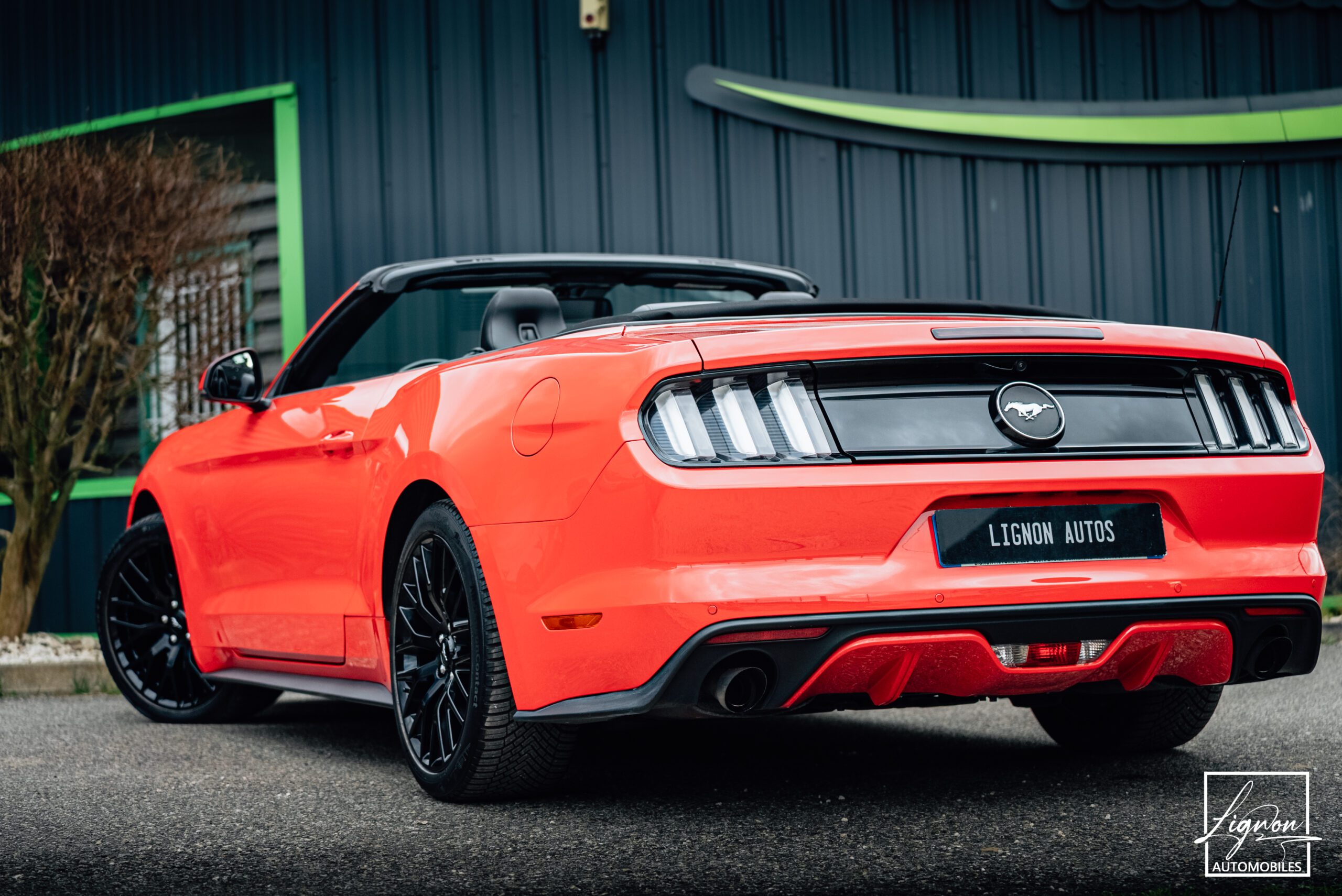 Ford Mustang Cabriolet Ecoboost 2.3 317 ch BVM6