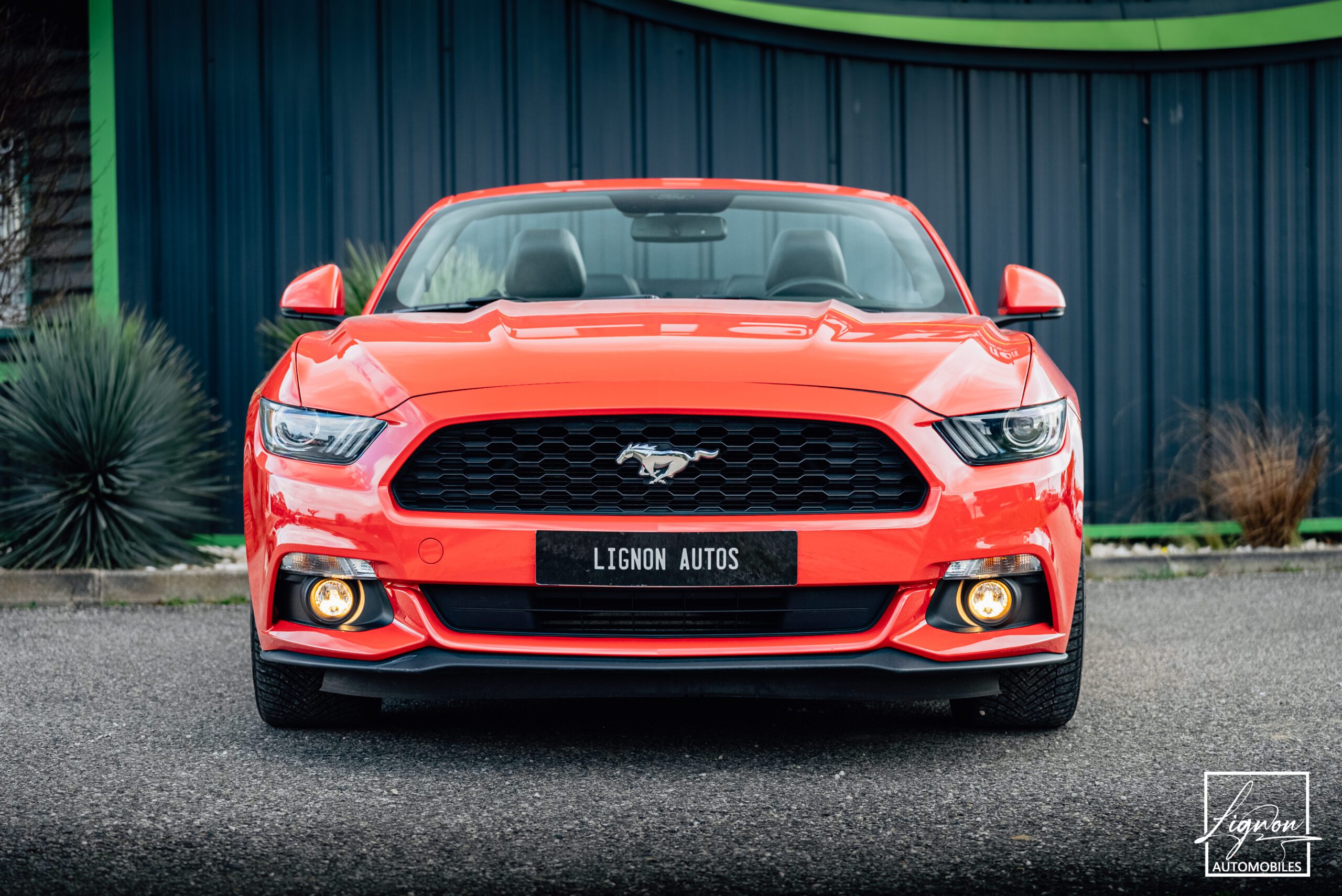 Photo Ford Mustang Cabriolet Ecoboost 2.3 317 ch BVM6