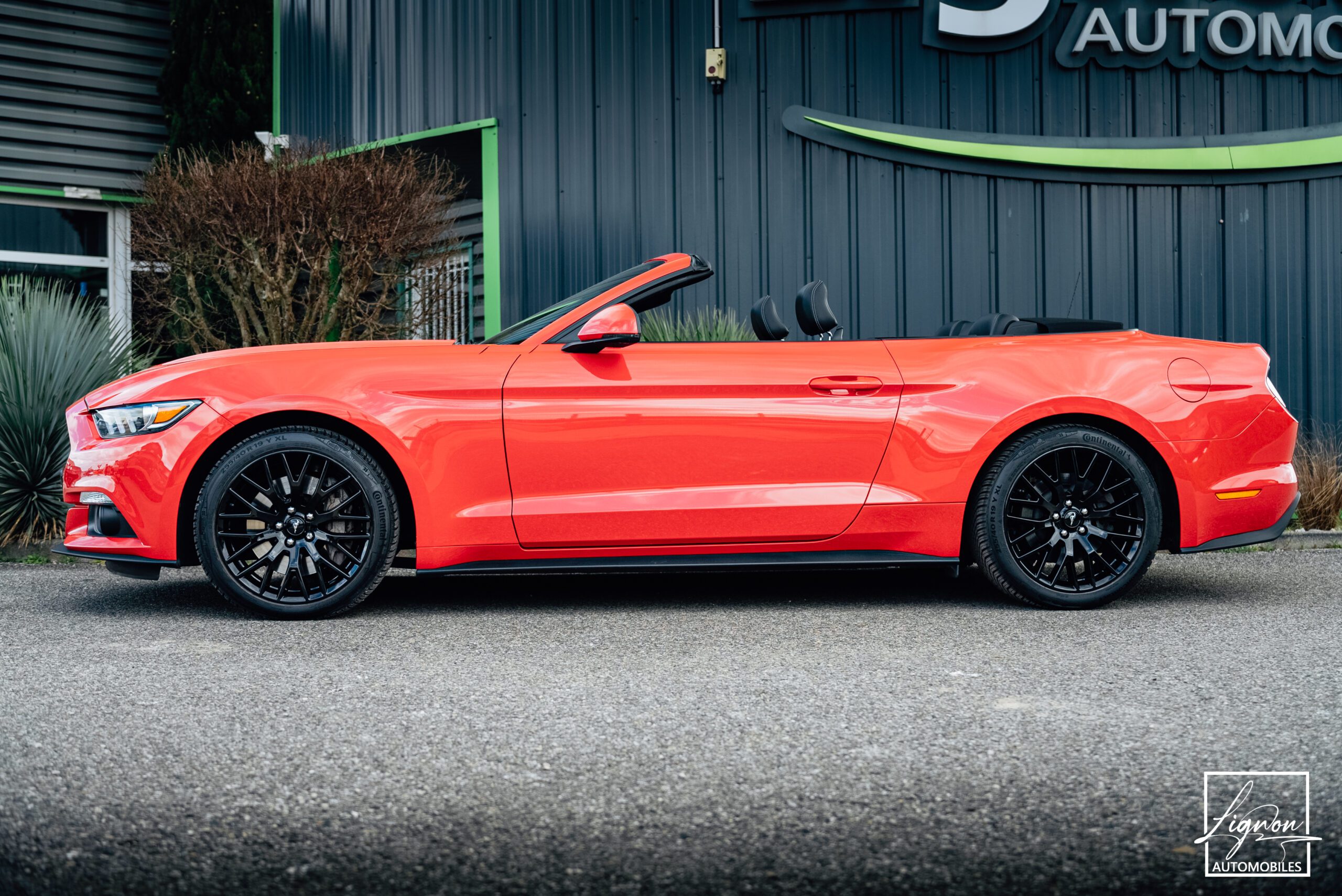 Photo Ford Mustang Cabriolet Ecoboost 2.3 317 ch BVM6