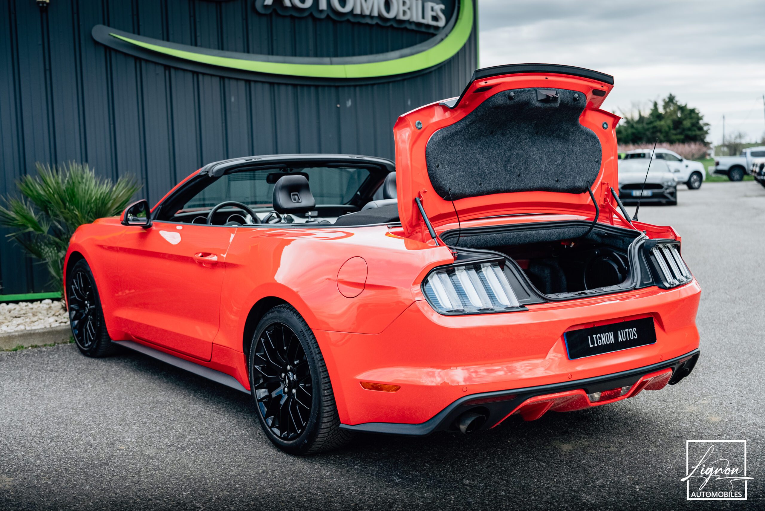 Photo Ford Mustang Cabriolet Ecoboost 2.3 317 ch BVM6