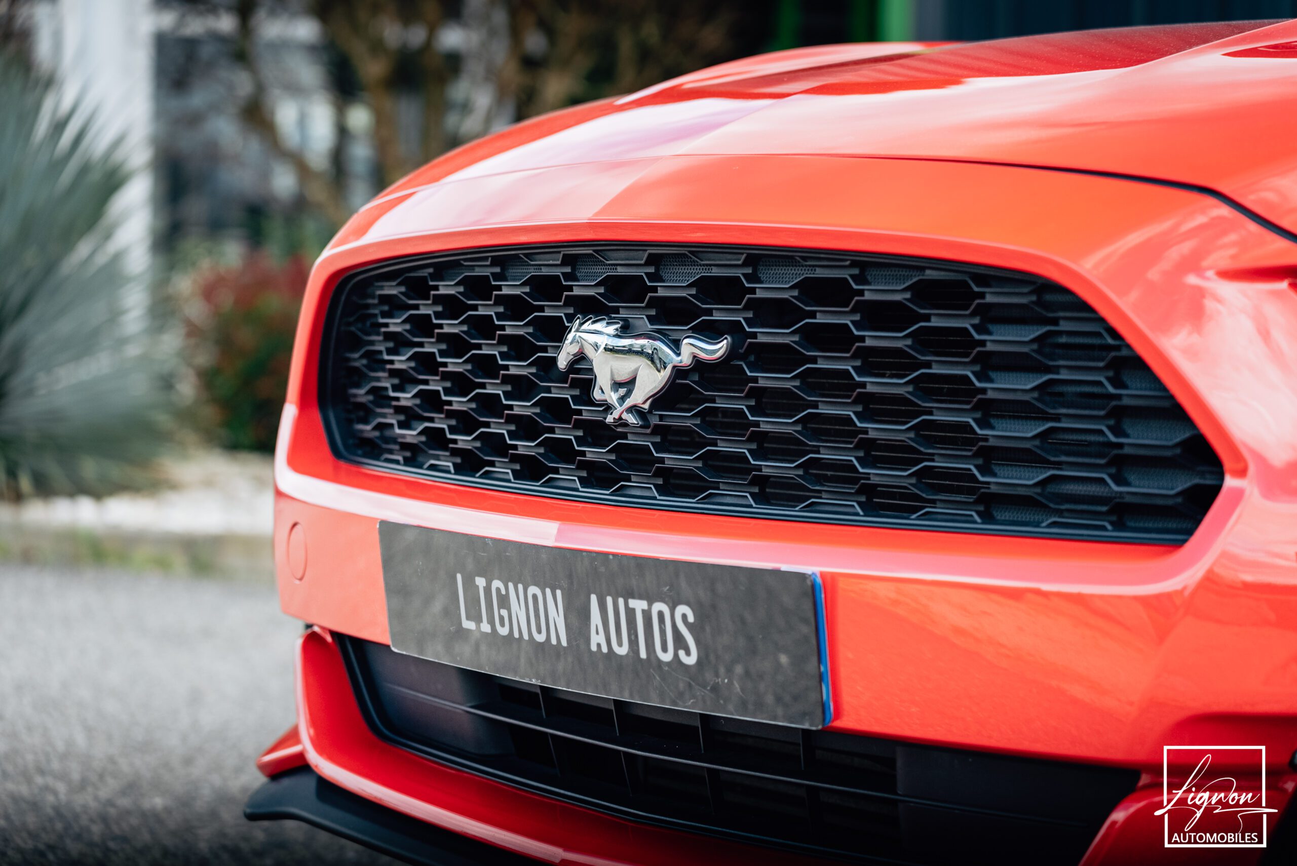Photo Ford Mustang Cabriolet Ecoboost 2.3 317 ch BVM6
