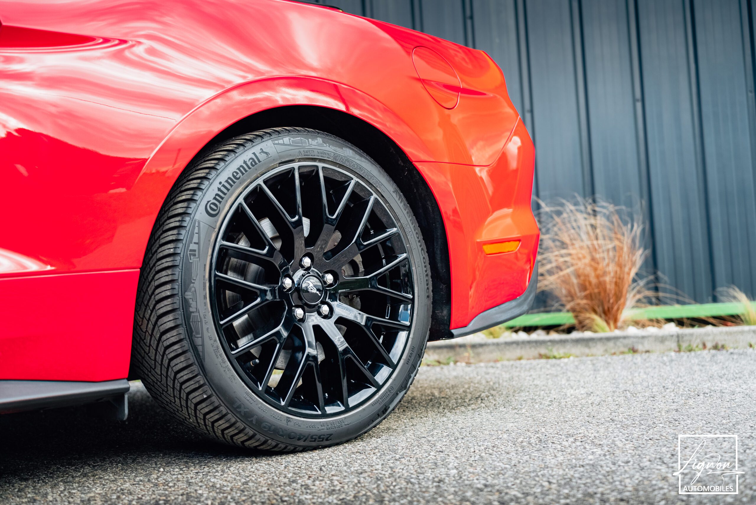 Photo Ford Mustang Cabriolet Ecoboost 2.3 317 ch BVM6