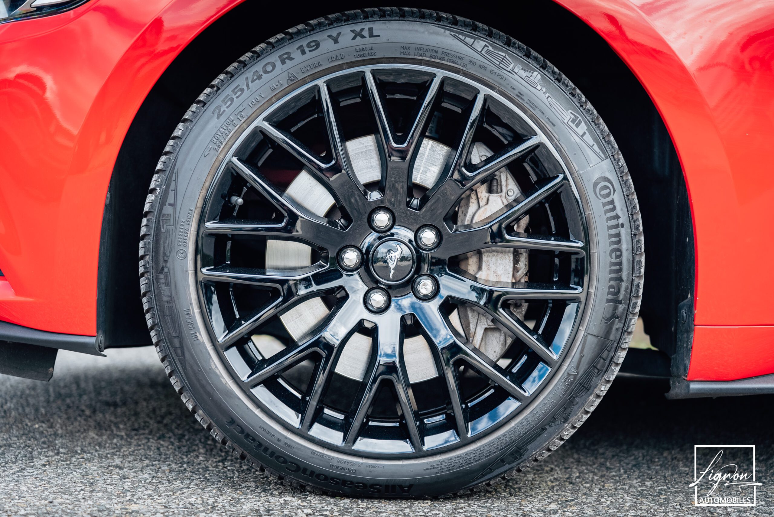 Photo Ford Mustang Cabriolet Ecoboost 2.3 317 ch BVM6
