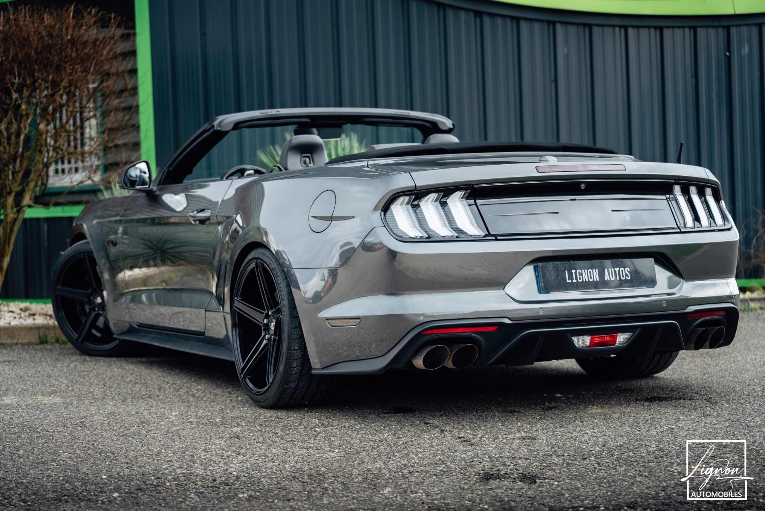 Photo Ford Mustang Cabriolet 5.0 v8 GT 450 CH BVA10 - 1er main