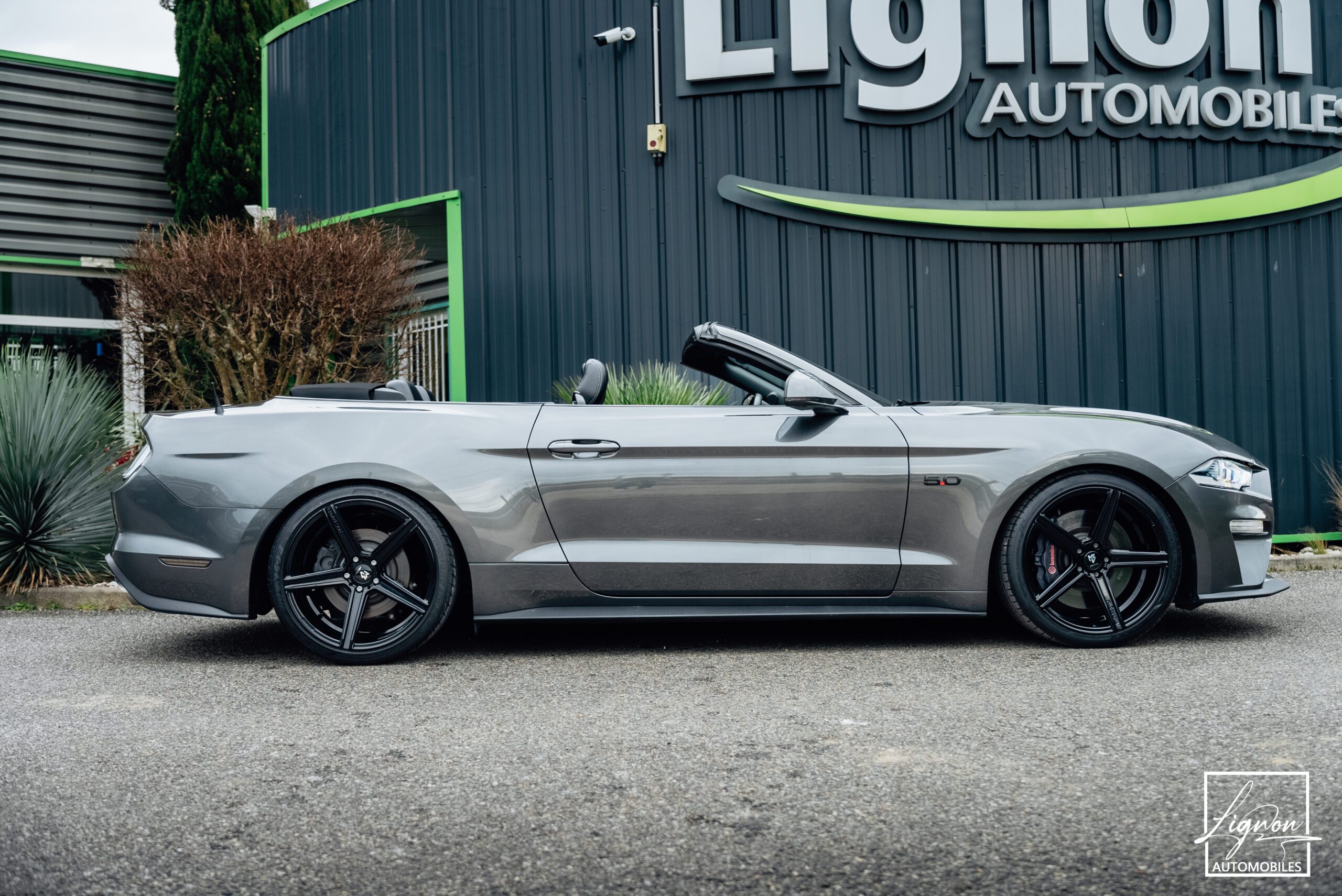 Photo Ford Mustang Cabriolet 5.0 v8 GT 450 CH BVA10 - 1er main