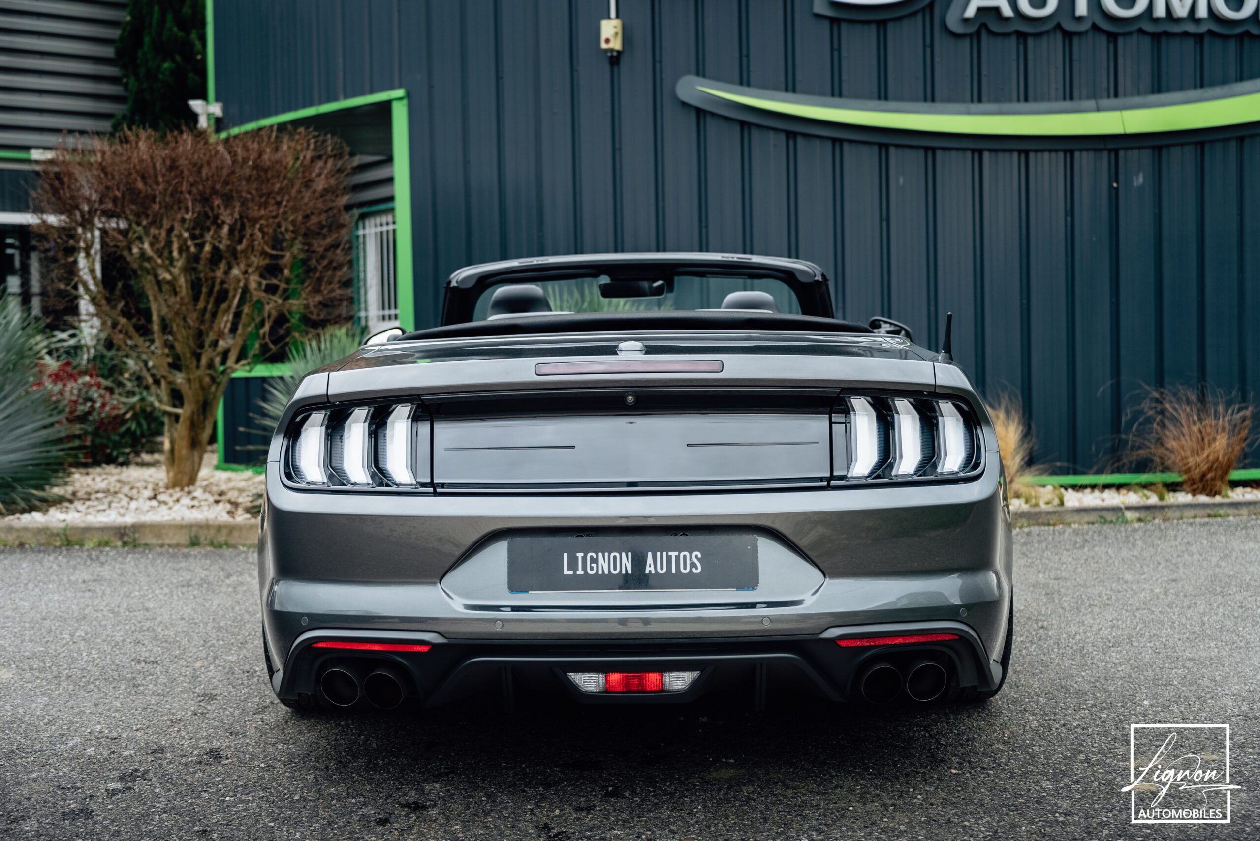 Photo Ford Mustang Cabriolet 5.0 v8 GT 450 CH BVA10 - 1er main