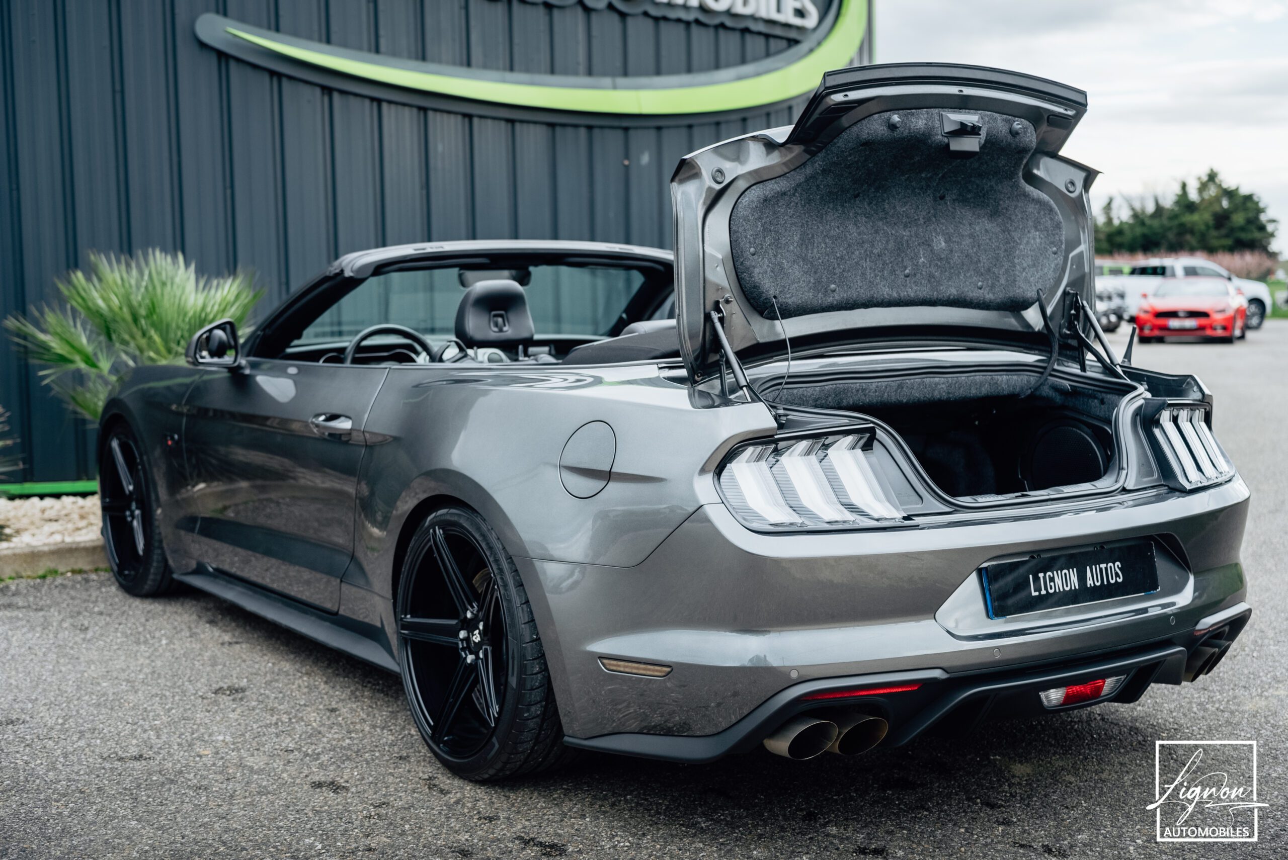 Photo Ford Mustang Cabriolet 5.0 v8 GT 450 CH BVA10 - 1er main