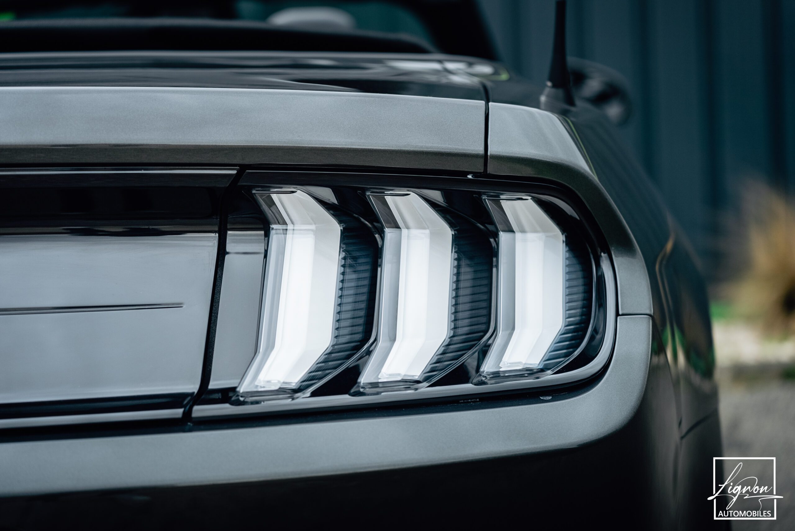 Photo Ford Mustang Cabriolet 5.0 v8 GT 450 CH BVA10 - 1er main