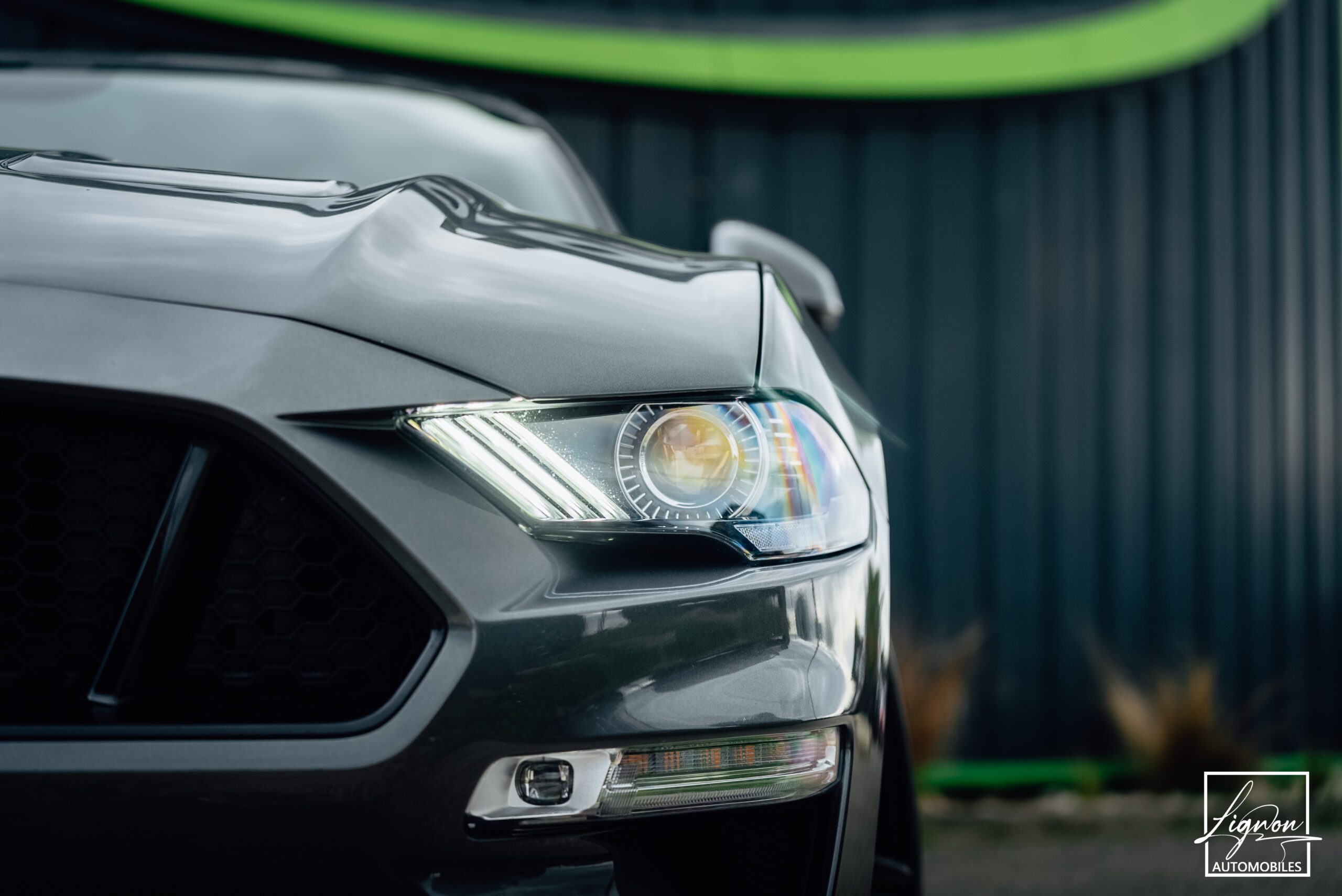 Photo Ford Mustang Cabriolet 5.0 v8 GT 450 CH BVA10 - 1er main