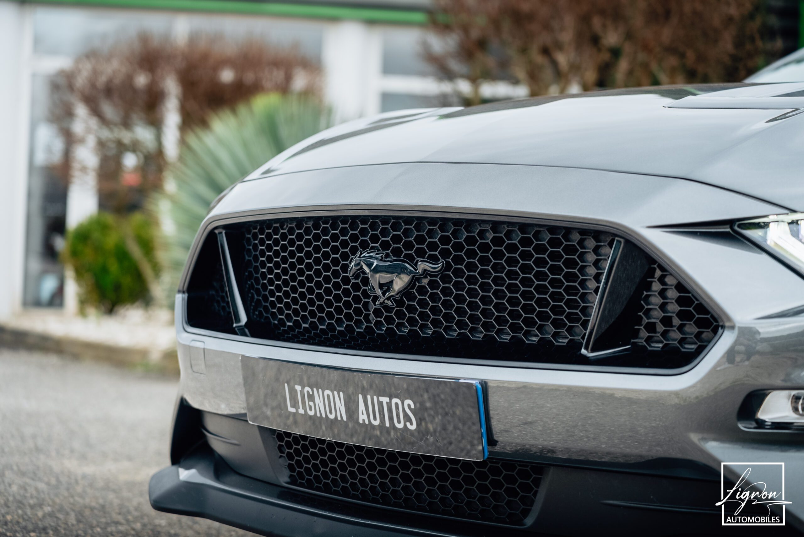 Photo Ford Mustang Cabriolet 5.0 v8 GT 450 CH BVA10 - 1er main