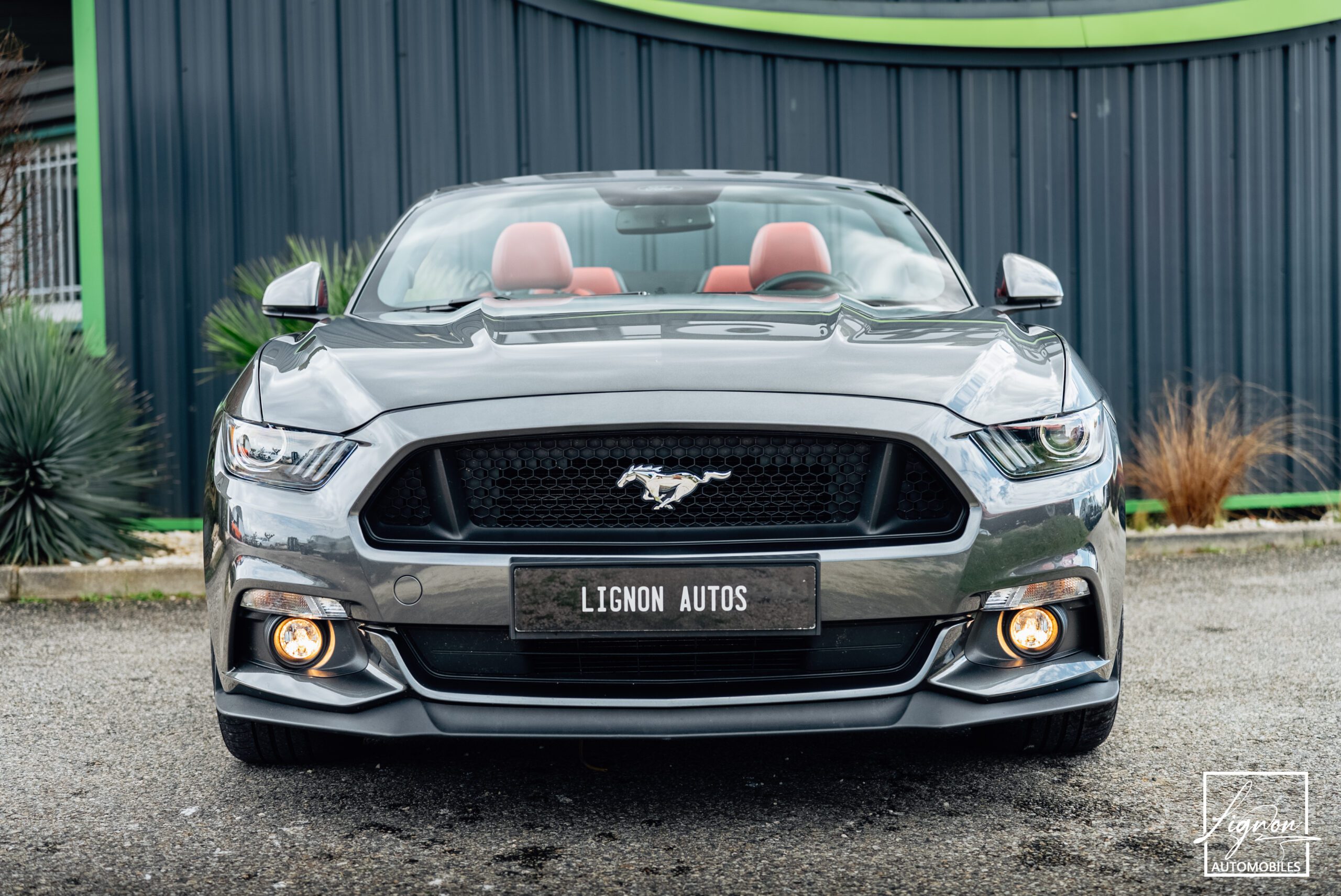 Photo Ford Mustang 5.0 v8 GT Cabriolet 421 ch Boite Automatique - 1er main