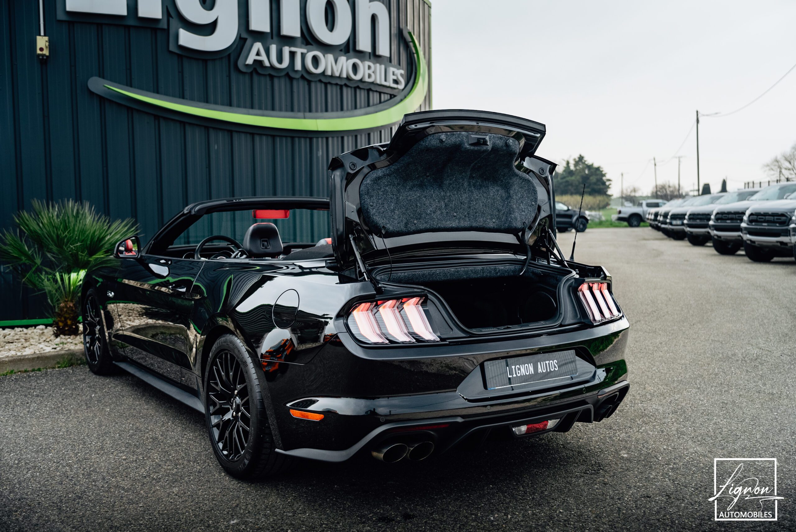 Photo Mustang Cabriolet 5.0 v8 GT 450 CH BVA10 - 1er main - Suspension Magneride