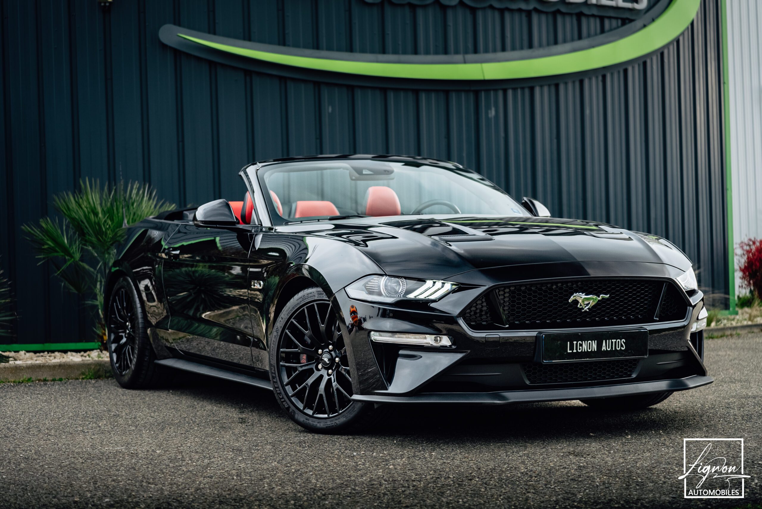 Mustang Cabriolet 5.0 v8 GT 450 CH BVA10 - 1er main - Suspension Magneride