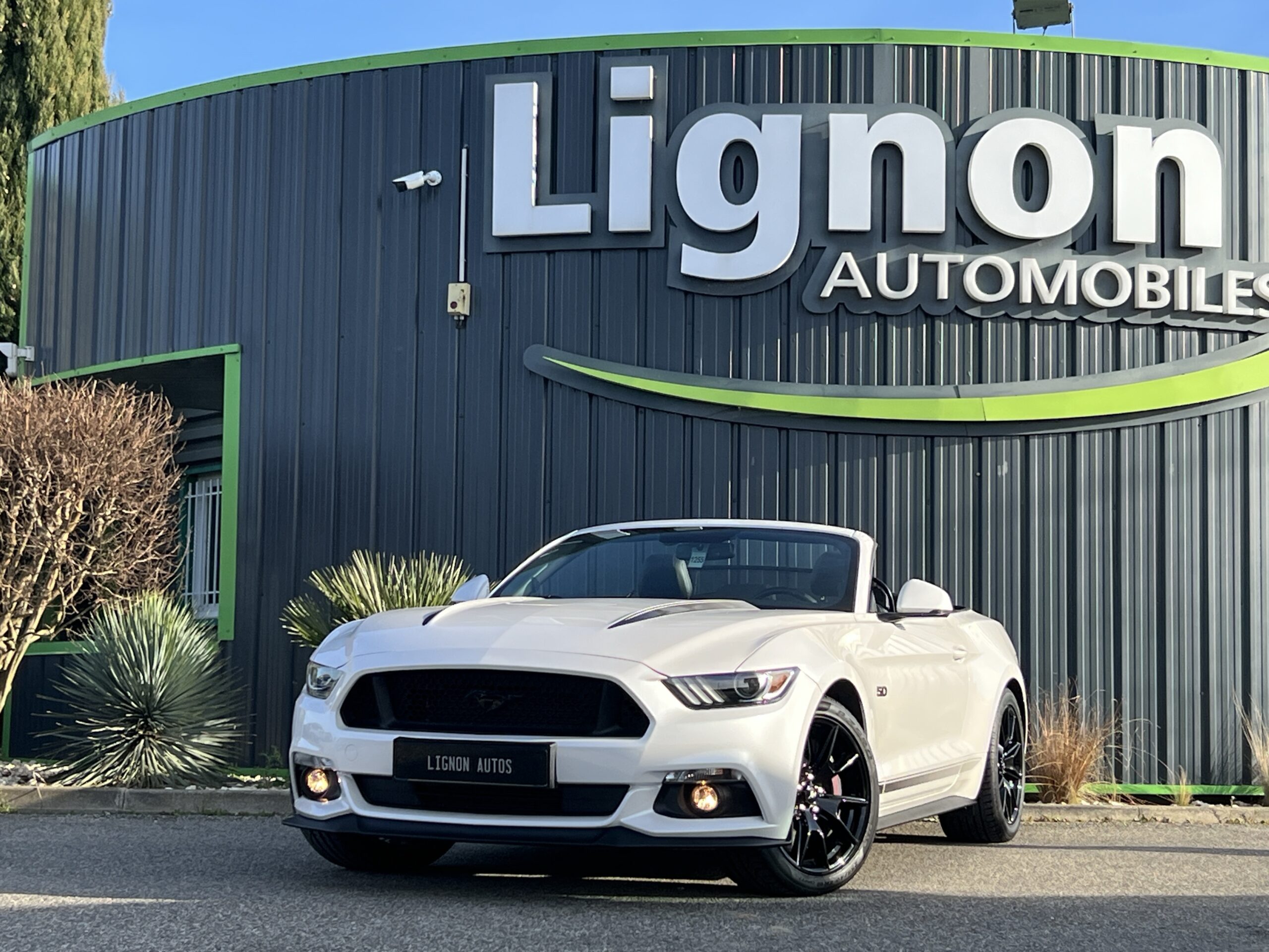 Photo Ford Mustang GT Cabriolet v8 5.0 421 ch "Black Shadow"