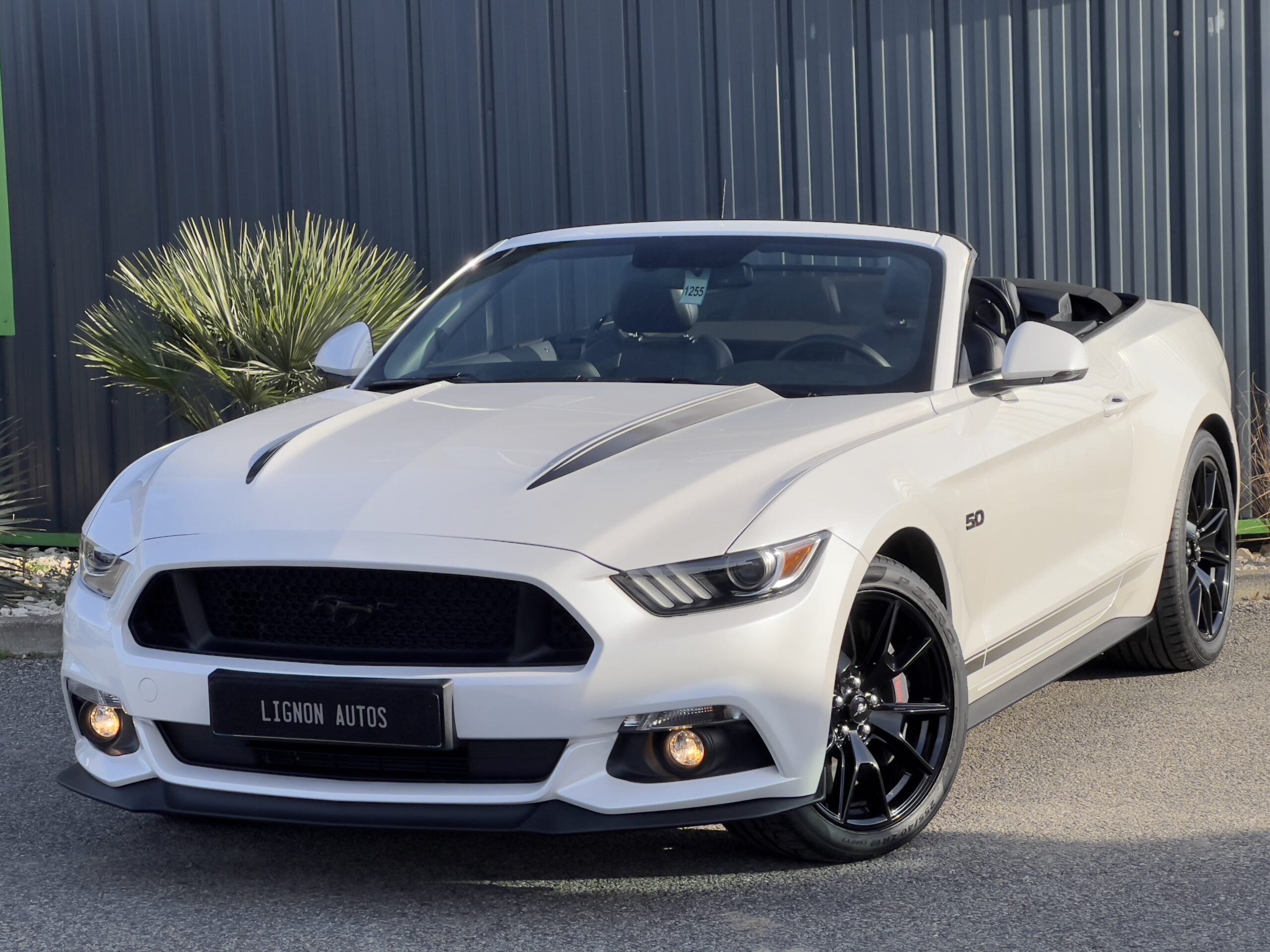 Photo Ford Mustang GT Cabriolet v8 5.0 421 ch "Black Shadow"