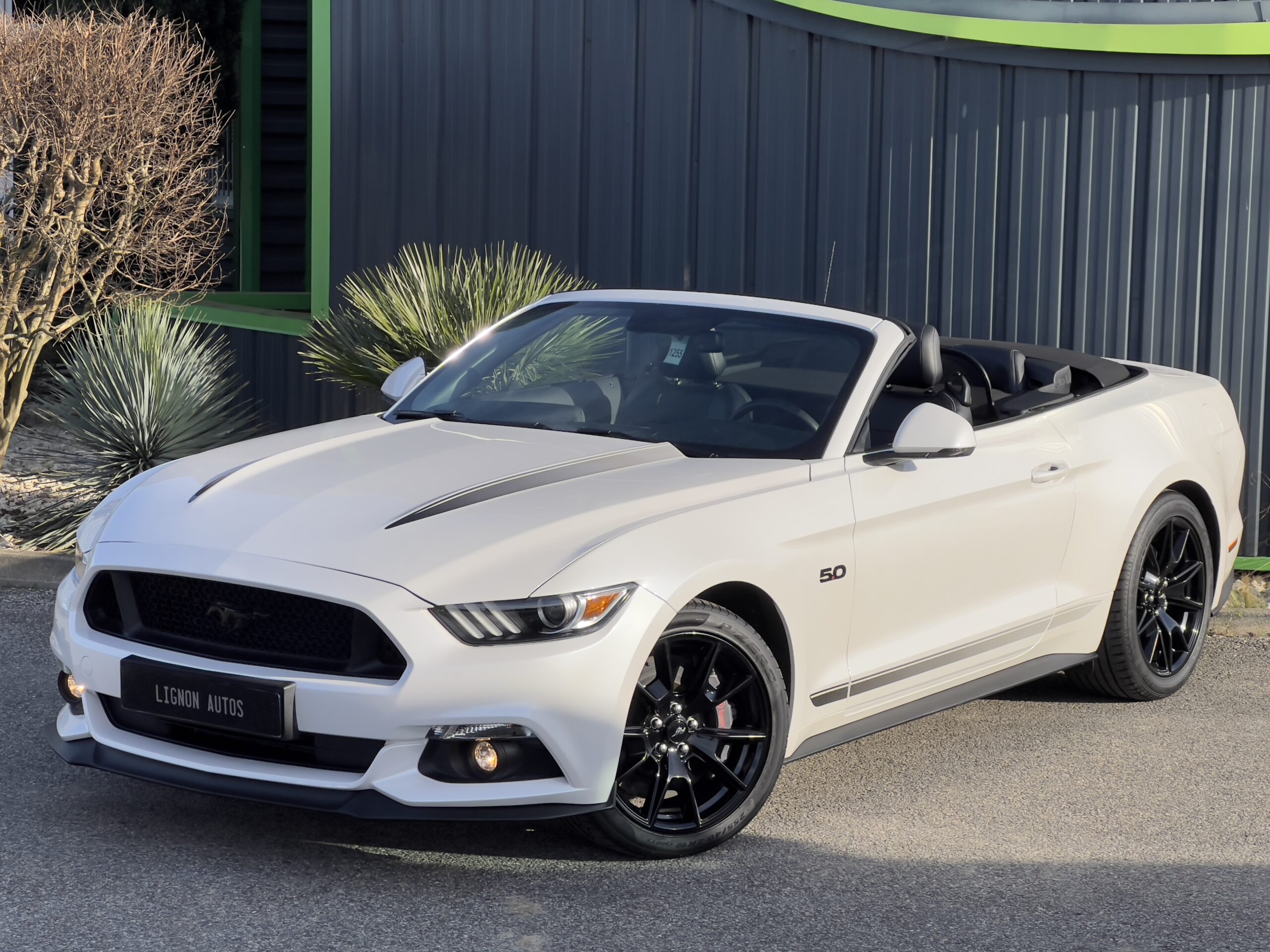Photo Ford Mustang GT Cabriolet v8 5.0 421 ch "Black Shadow"