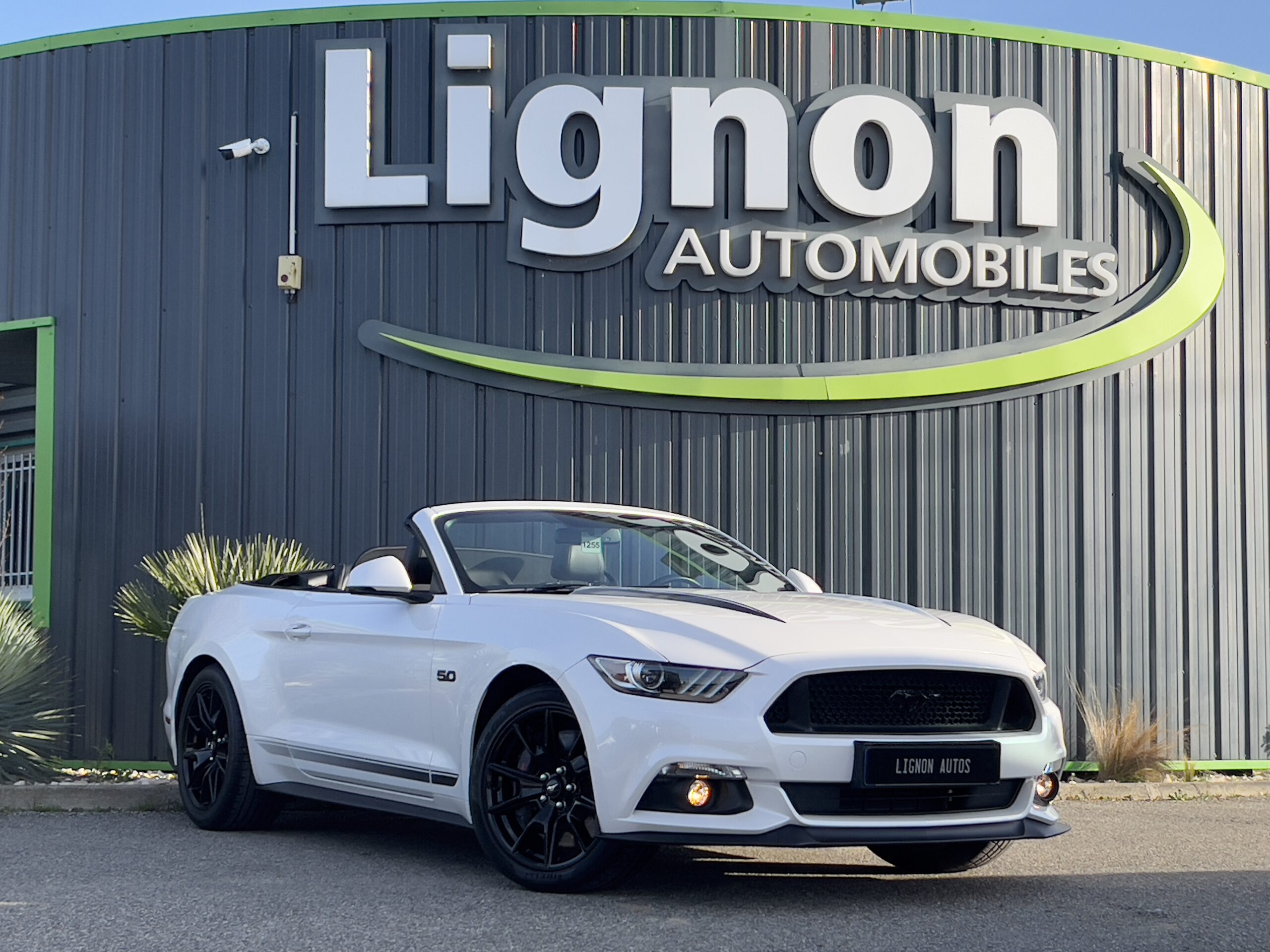 Photo Ford Mustang GT Cabriolet v8 5.0 421 ch "Black Shadow"