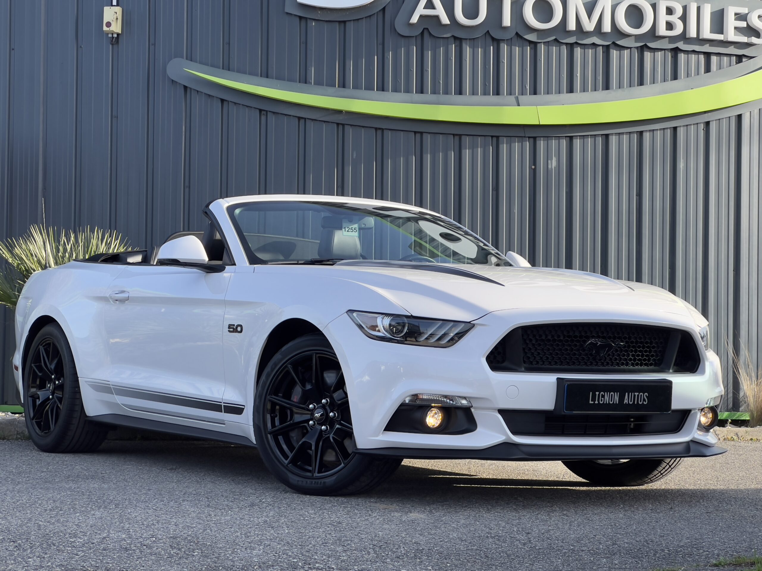 Photo Ford Mustang GT Cabriolet v8 5.0 421 ch "Black Shadow"