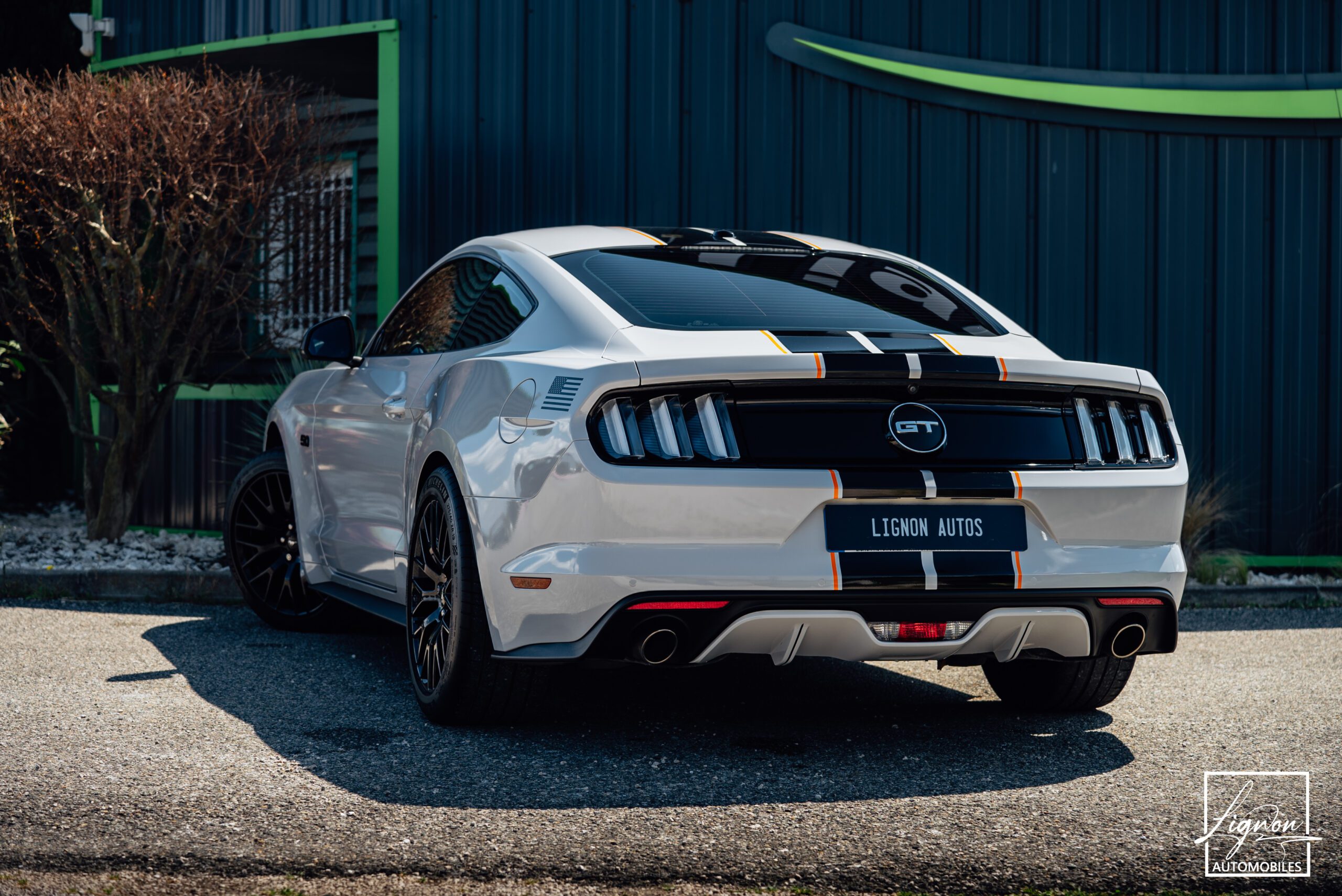 Photo Ford Mustang 5.0 v8 GT Fastback 421 ch BVA6